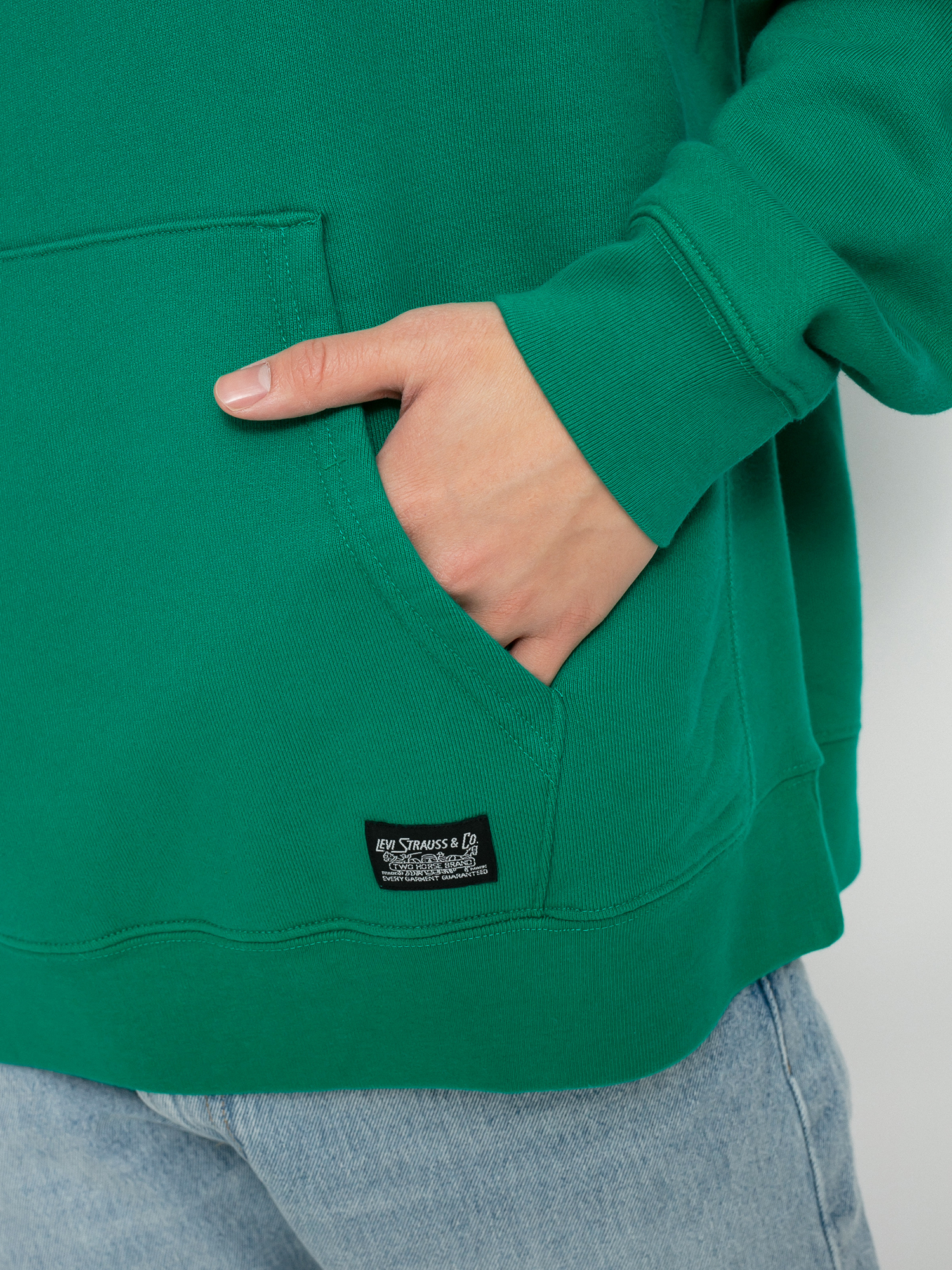 Bluza z kapturem Levi's® Skate HD (green light)