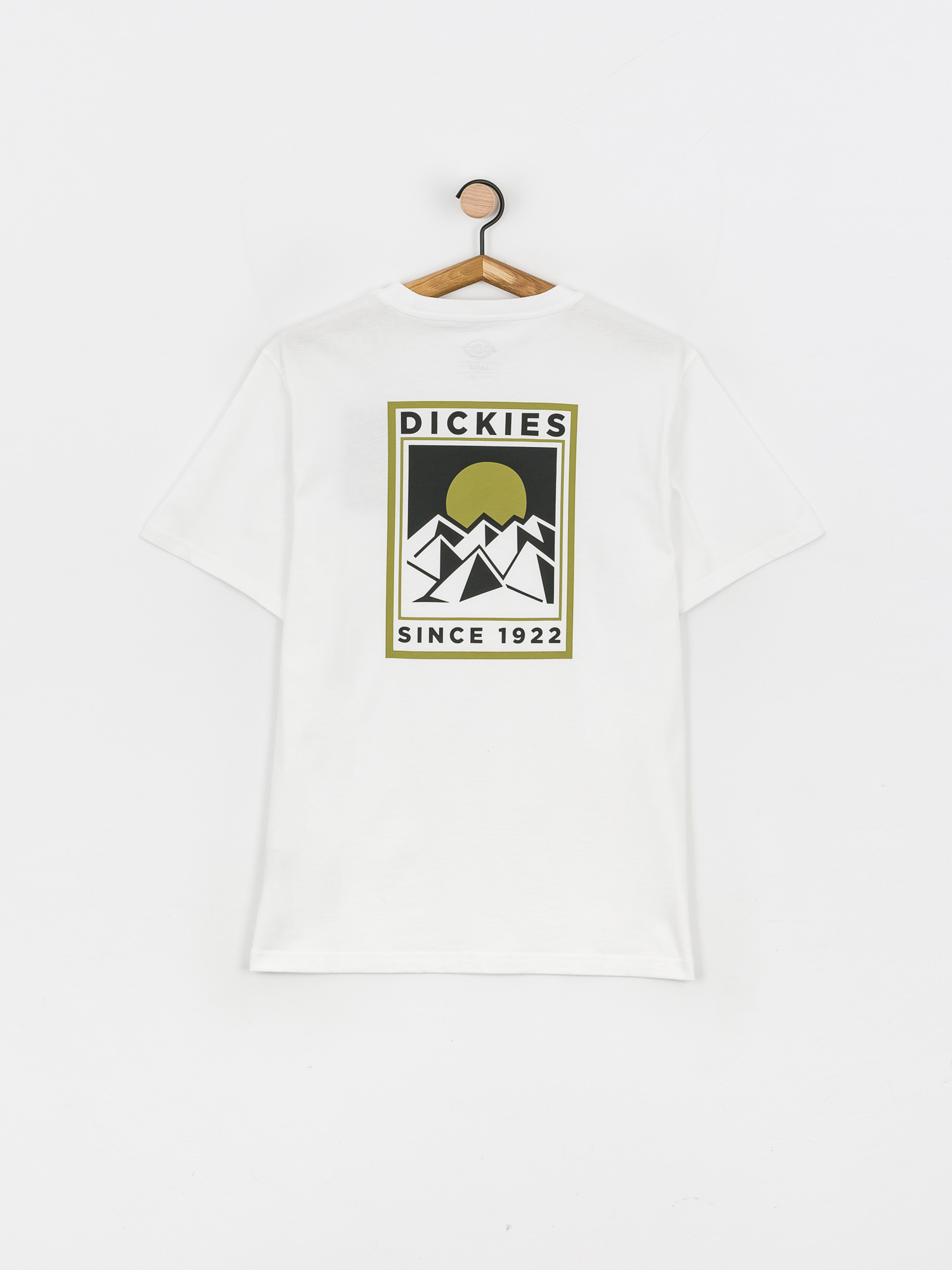T-shirt Dickies Pacific (white)