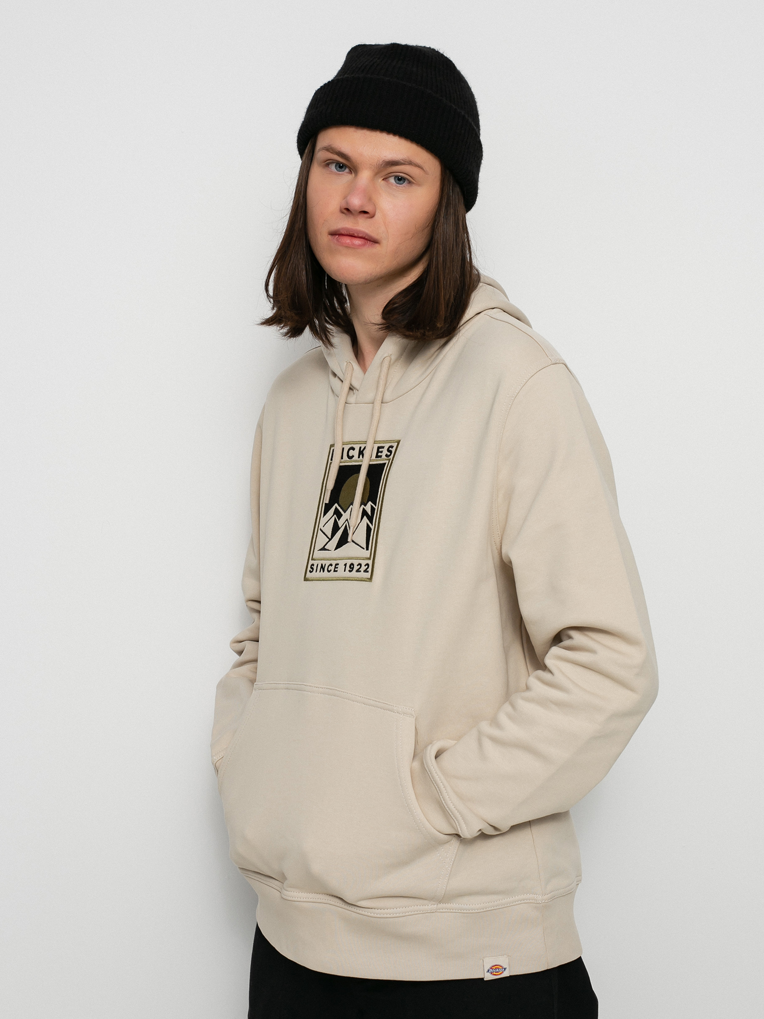 Bluza z kapturem Dickies Pacific HD (cement)