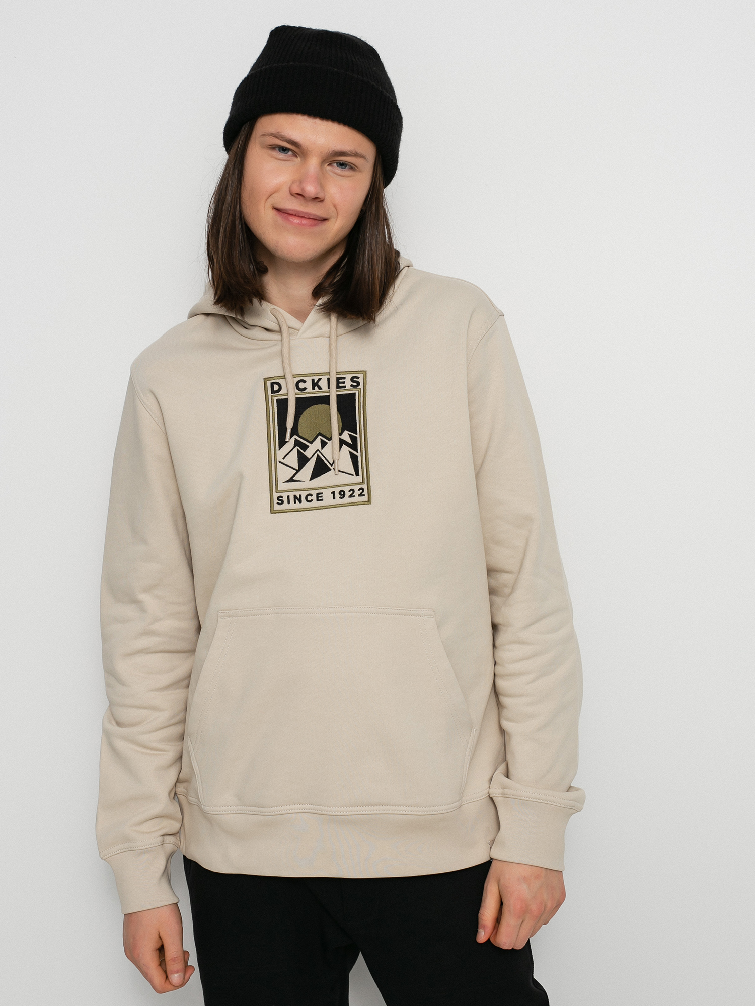 Bluza z kapturem Dickies Pacific HD (cement)