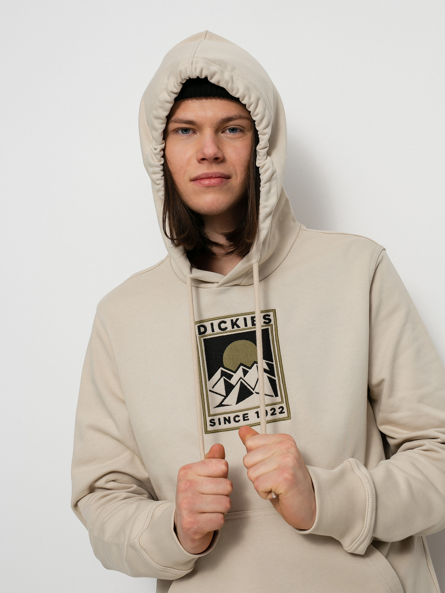 Bluza z kapturem Dickies Pacific HD (cement)