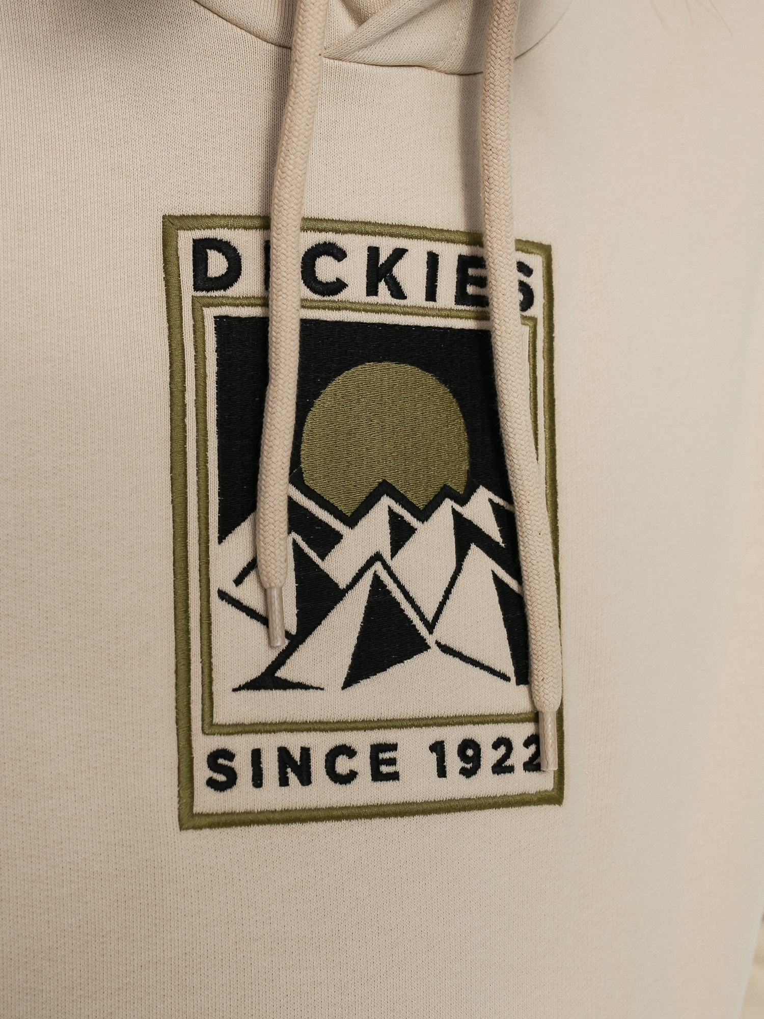 Bluza z kapturem Dickies Pacific HD (cement)
