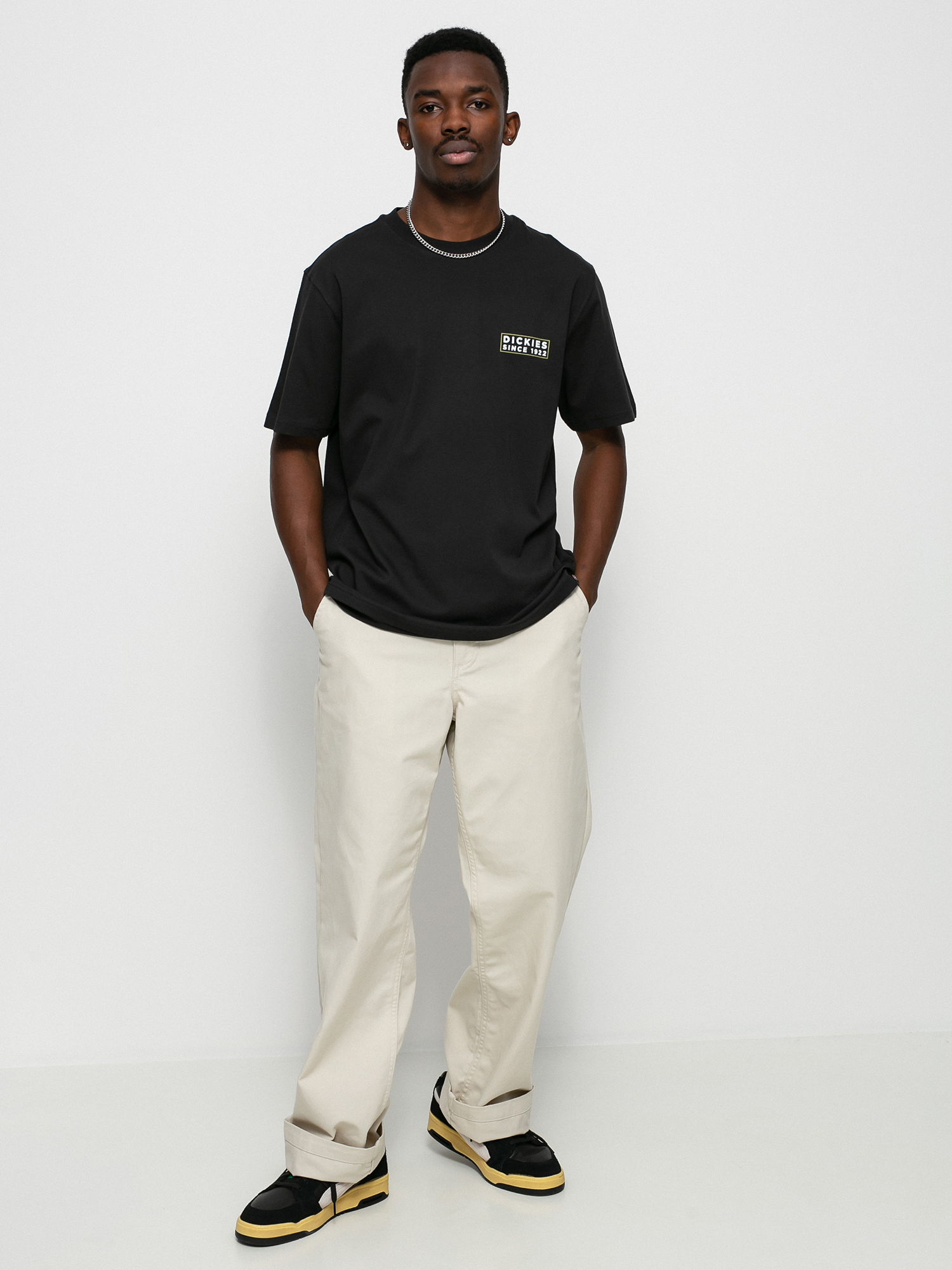 T-shirt Dickies Pacific (black)