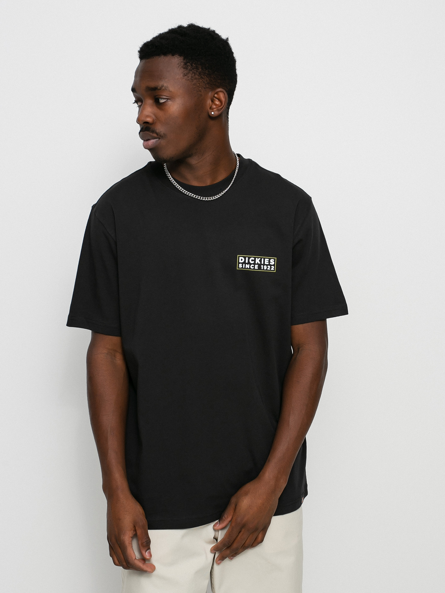 T-shirt Dickies Pacific (black)