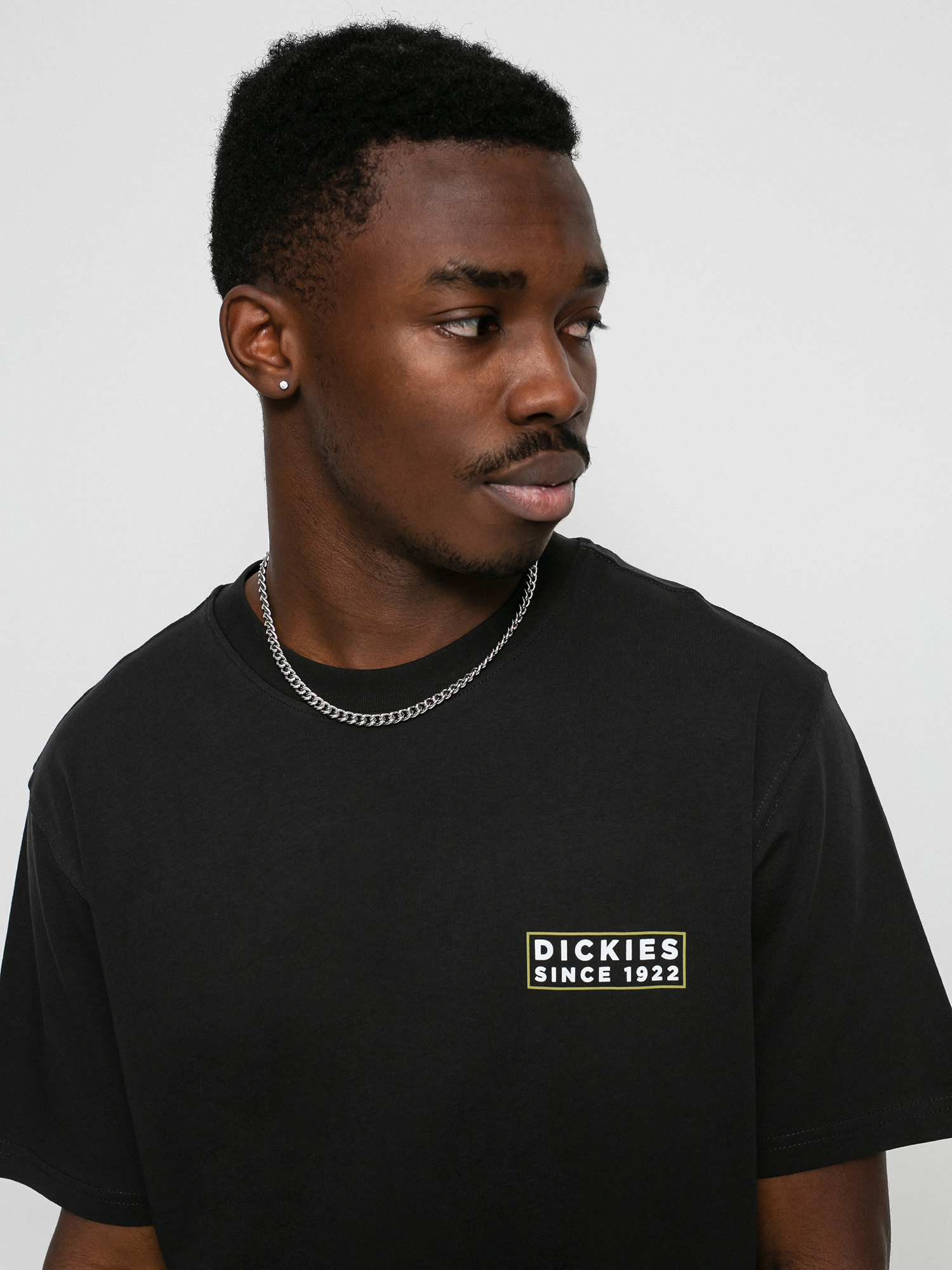 T-shirt Dickies Pacific (black)
