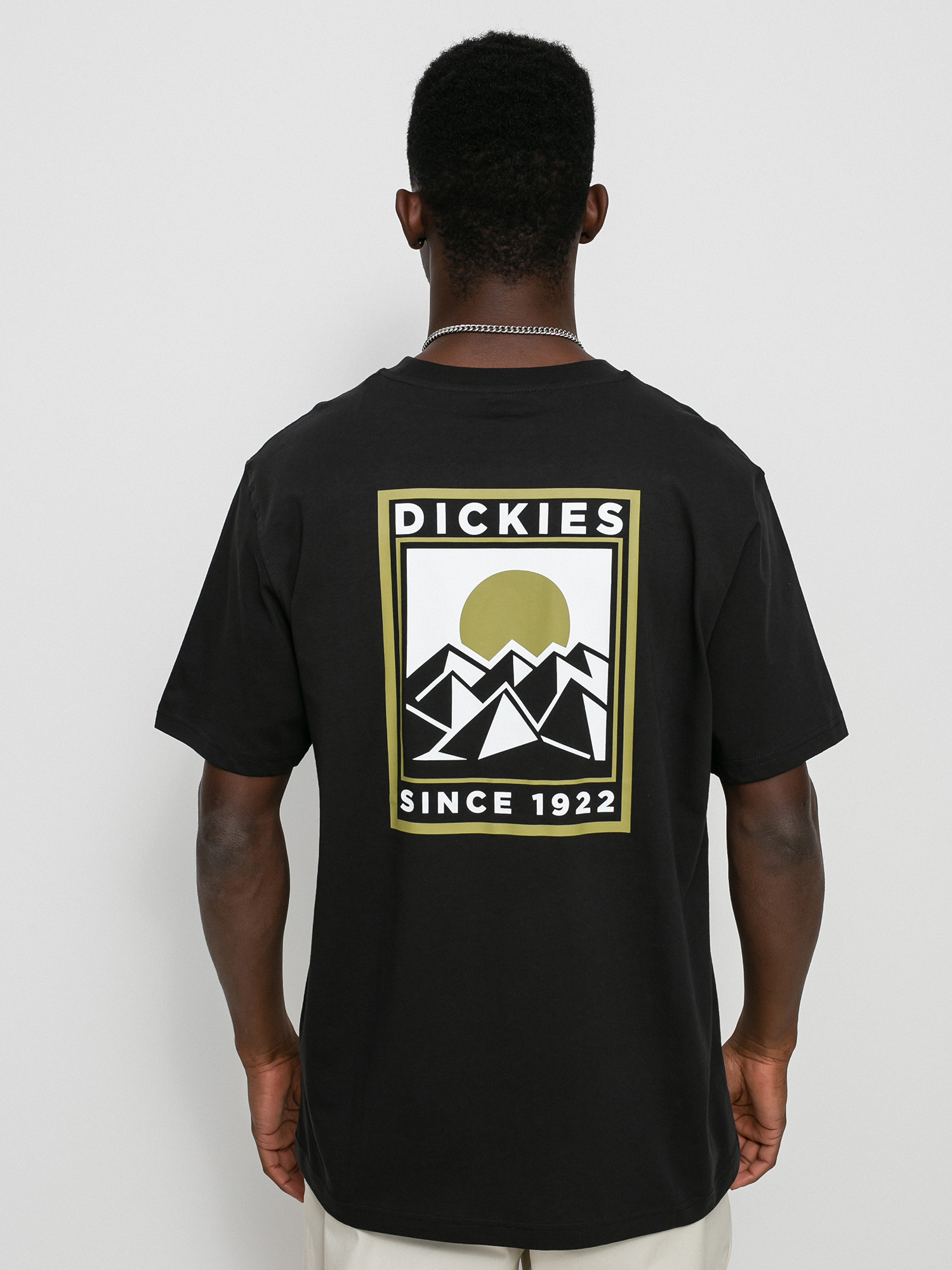 T-shirt Dickies Pacific (black)