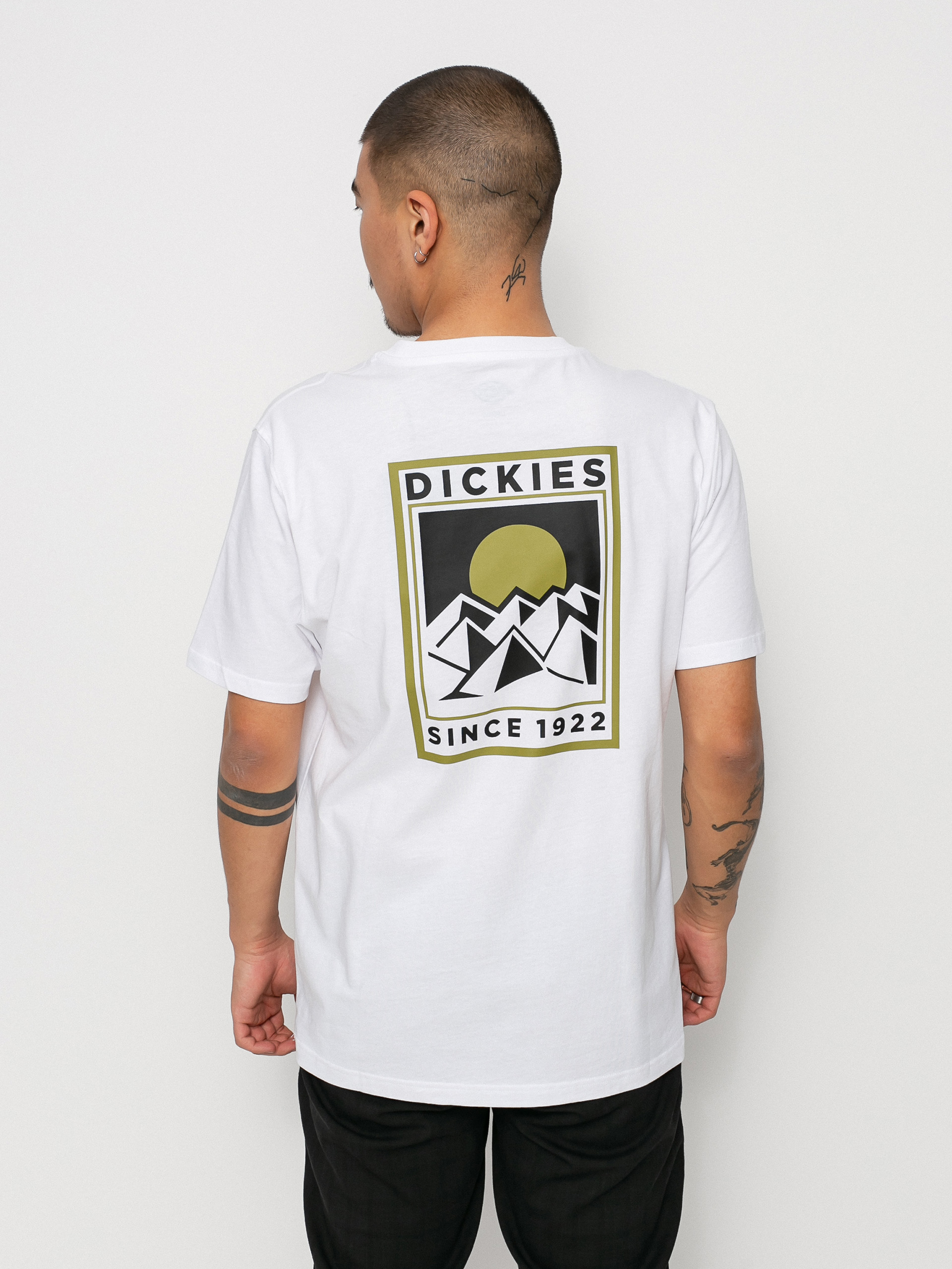 T-shirt Dickies Pacific (white)