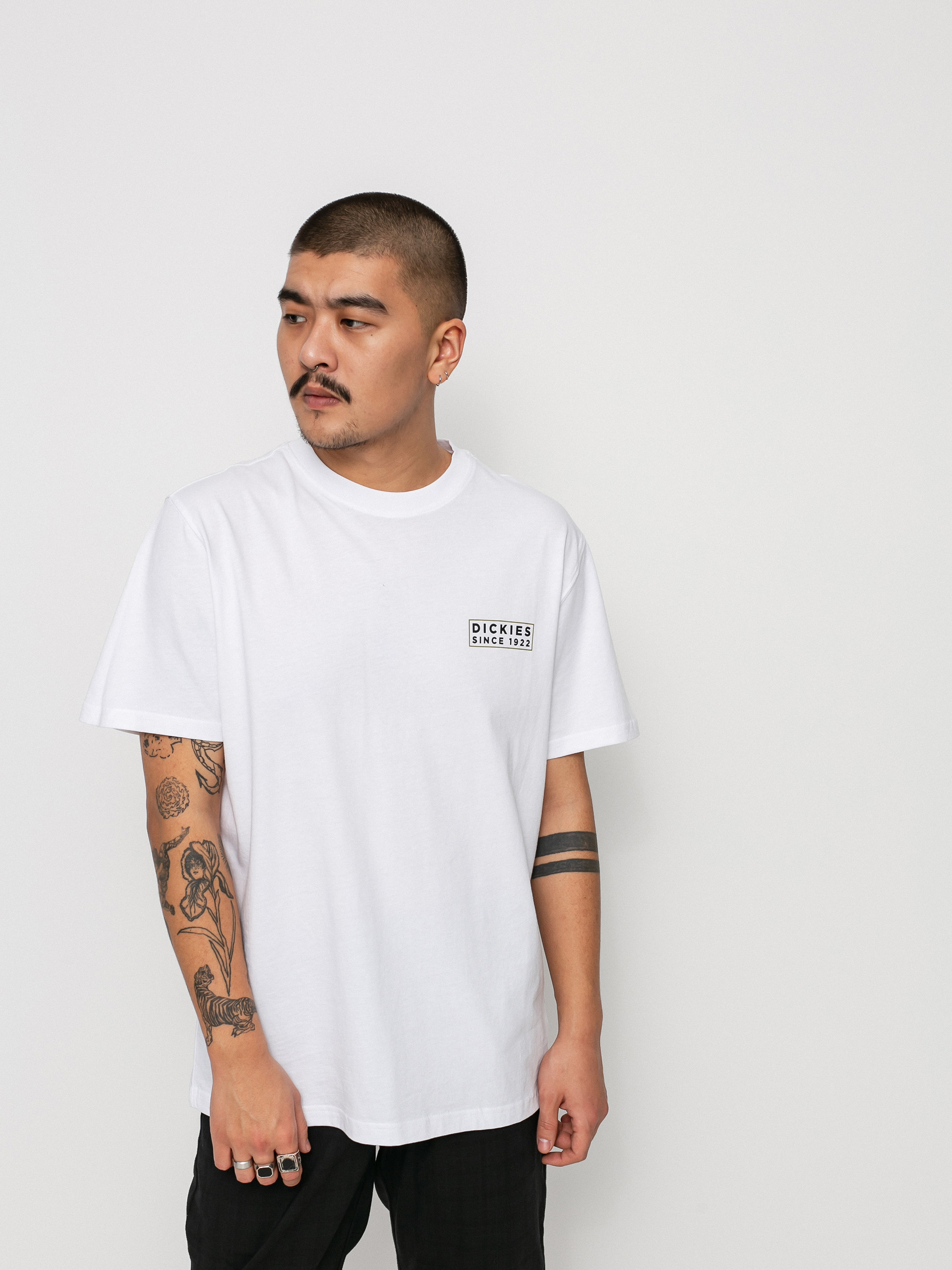 T-shirt Dickies Pacific (white)