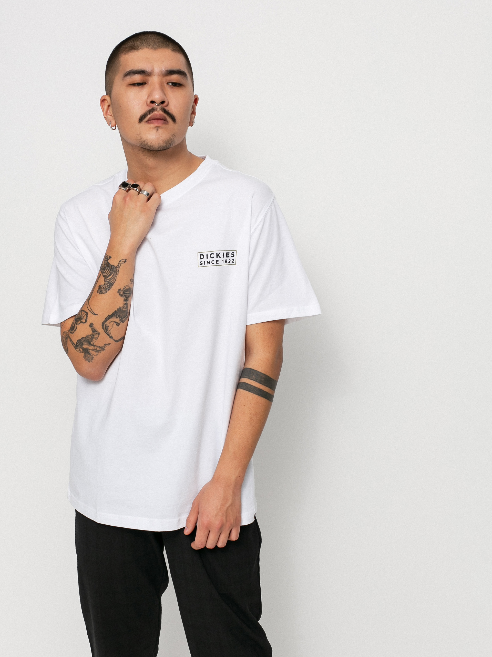 T-shirt Dickies Pacific (white)