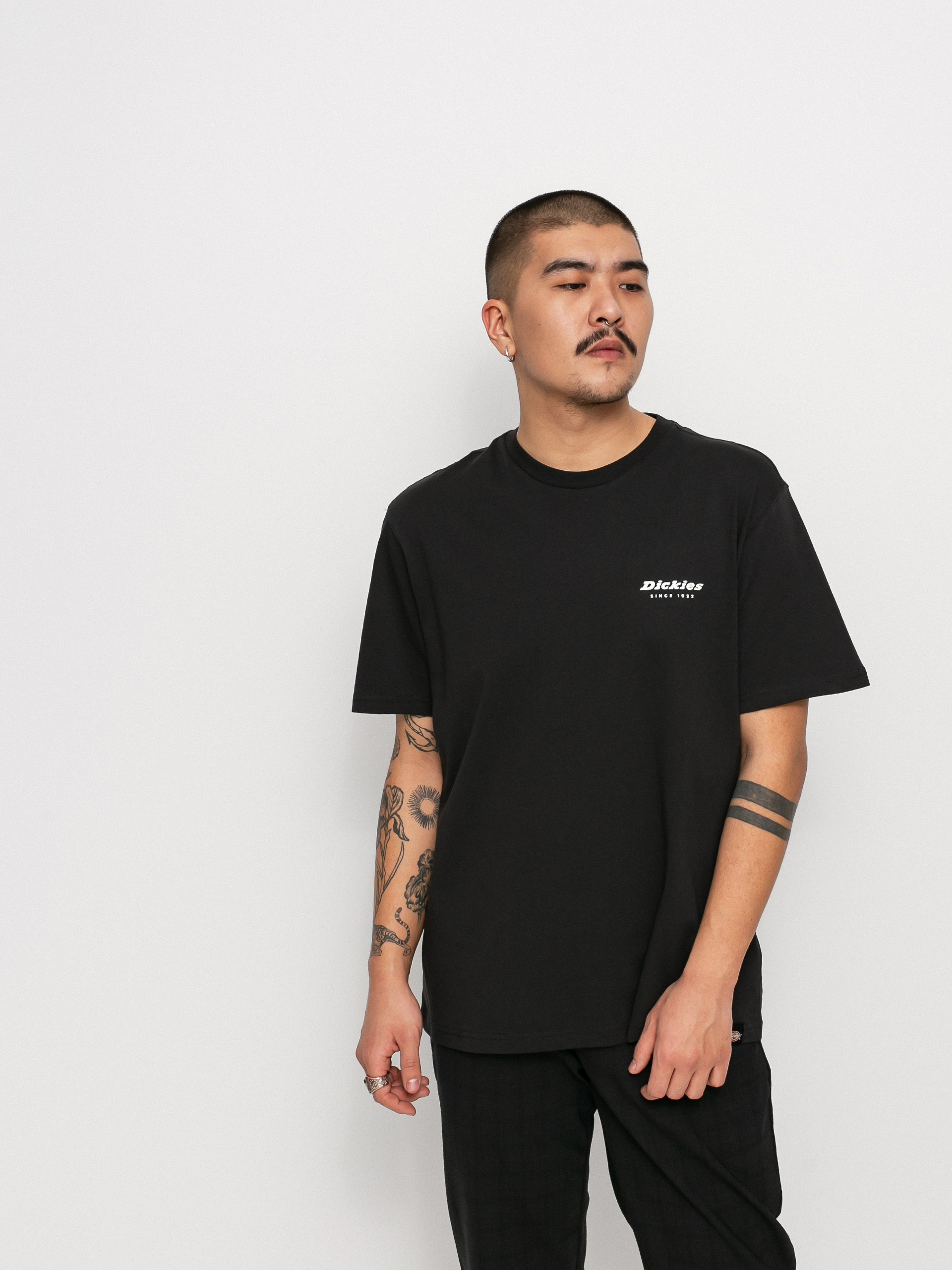 T-shirt Dickies Artondale Box (black)