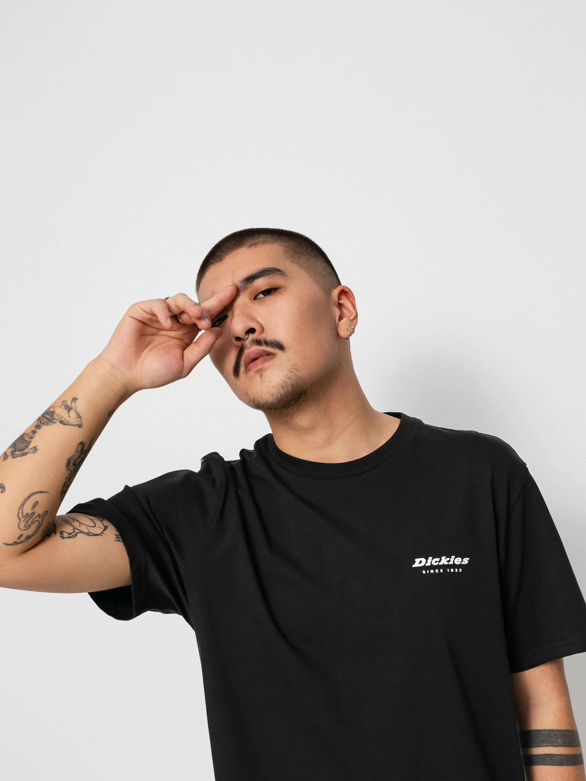 T-shirt Dickies Artondale Box (black)