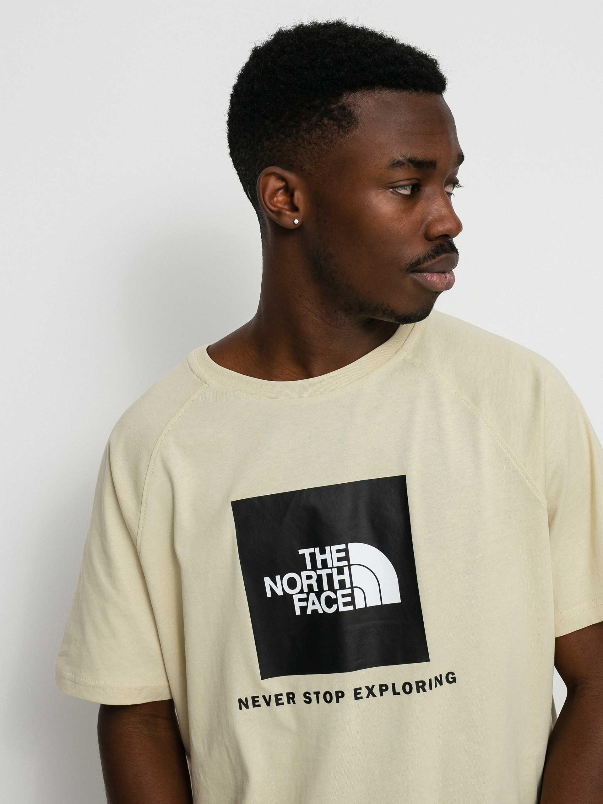 T-shirt The North Face Raglan Redbox (gravel)