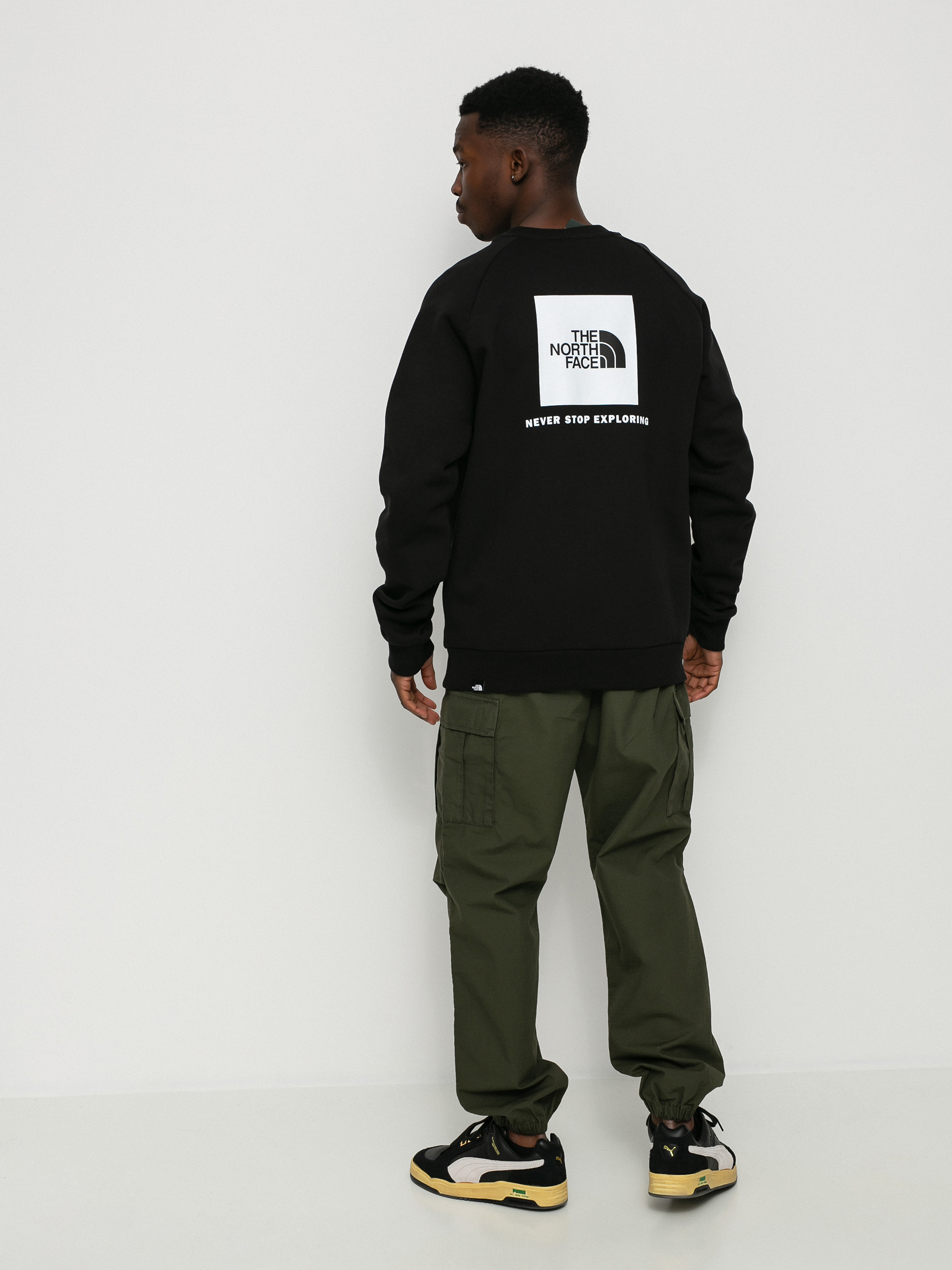 Bluza The North Face Raglan Redbox (tnf black)