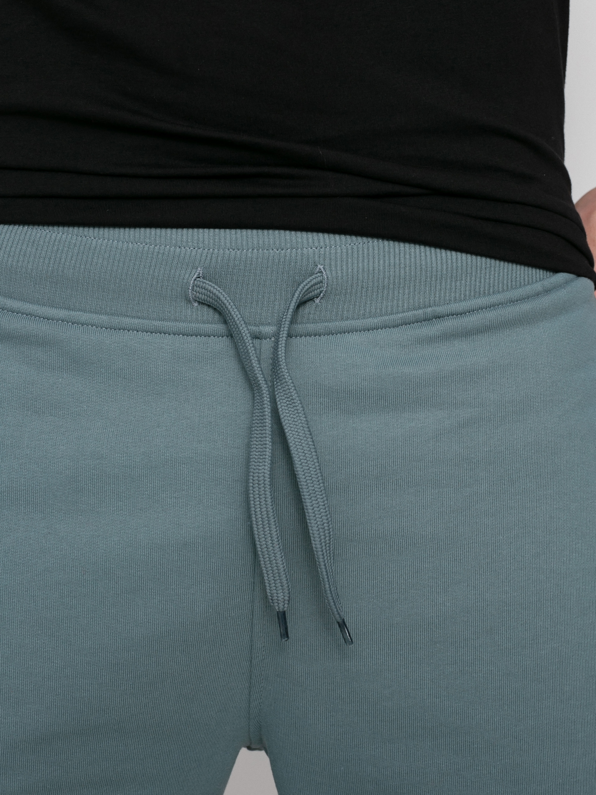 Szorty The North Face Standard Short Light (goblin blue)