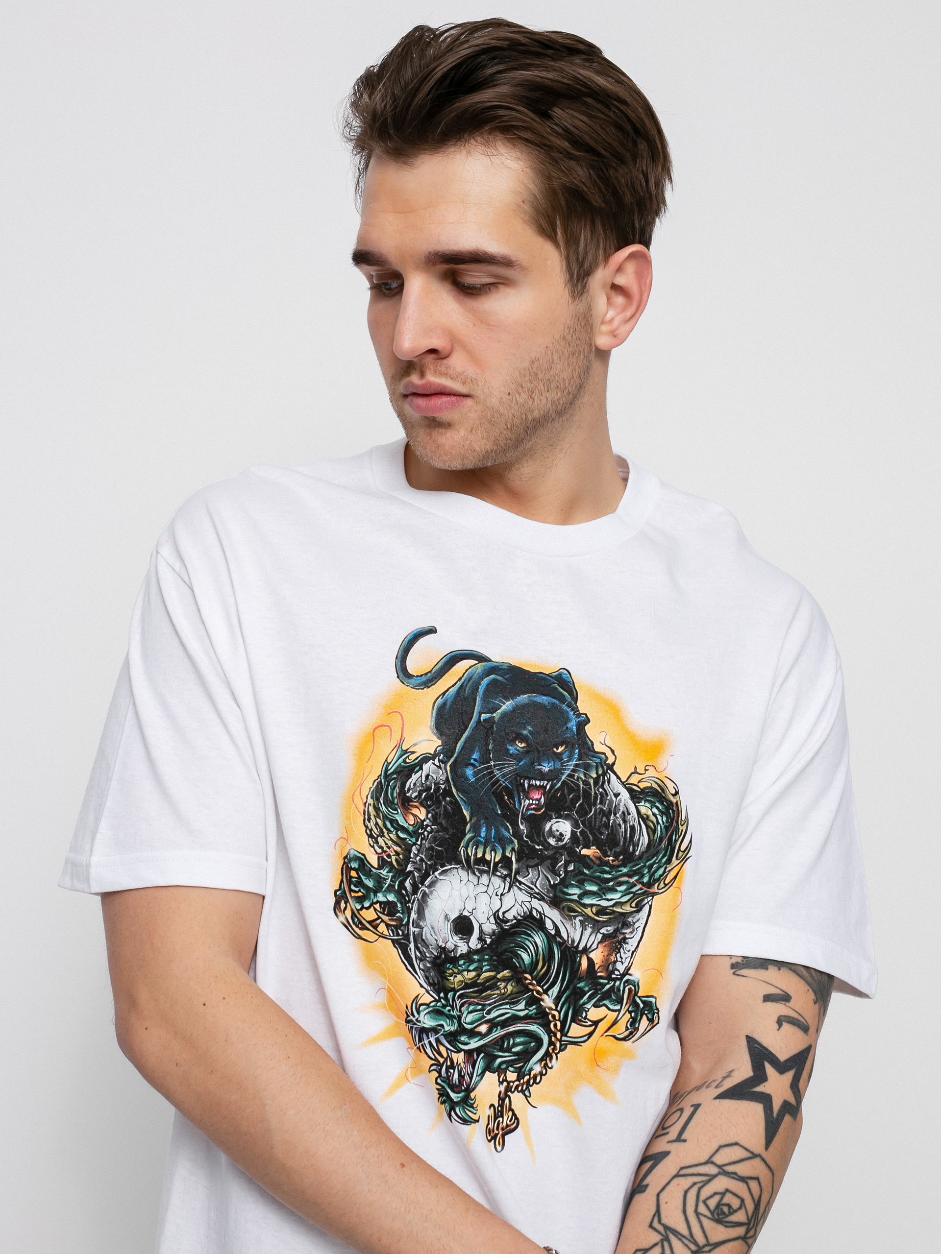 T-shirt DGK Roam (white)