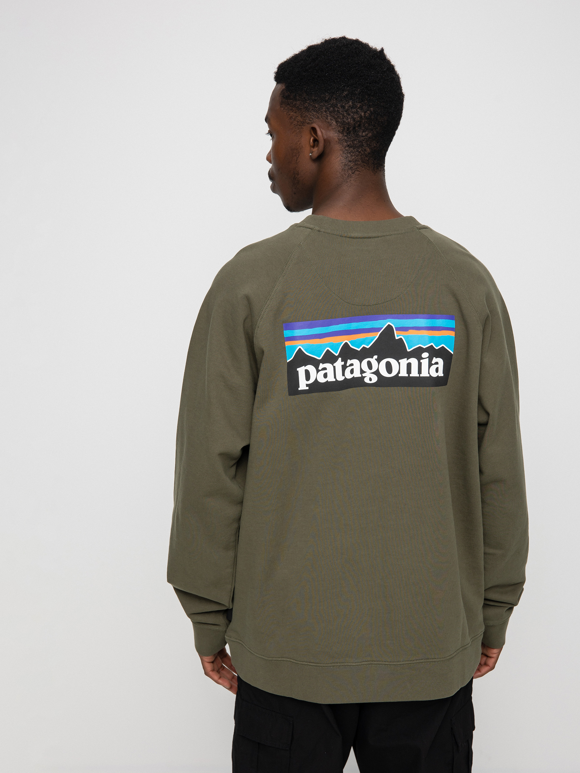 Bluza Patagonia P 6 Logo Organic Crew (basin green)