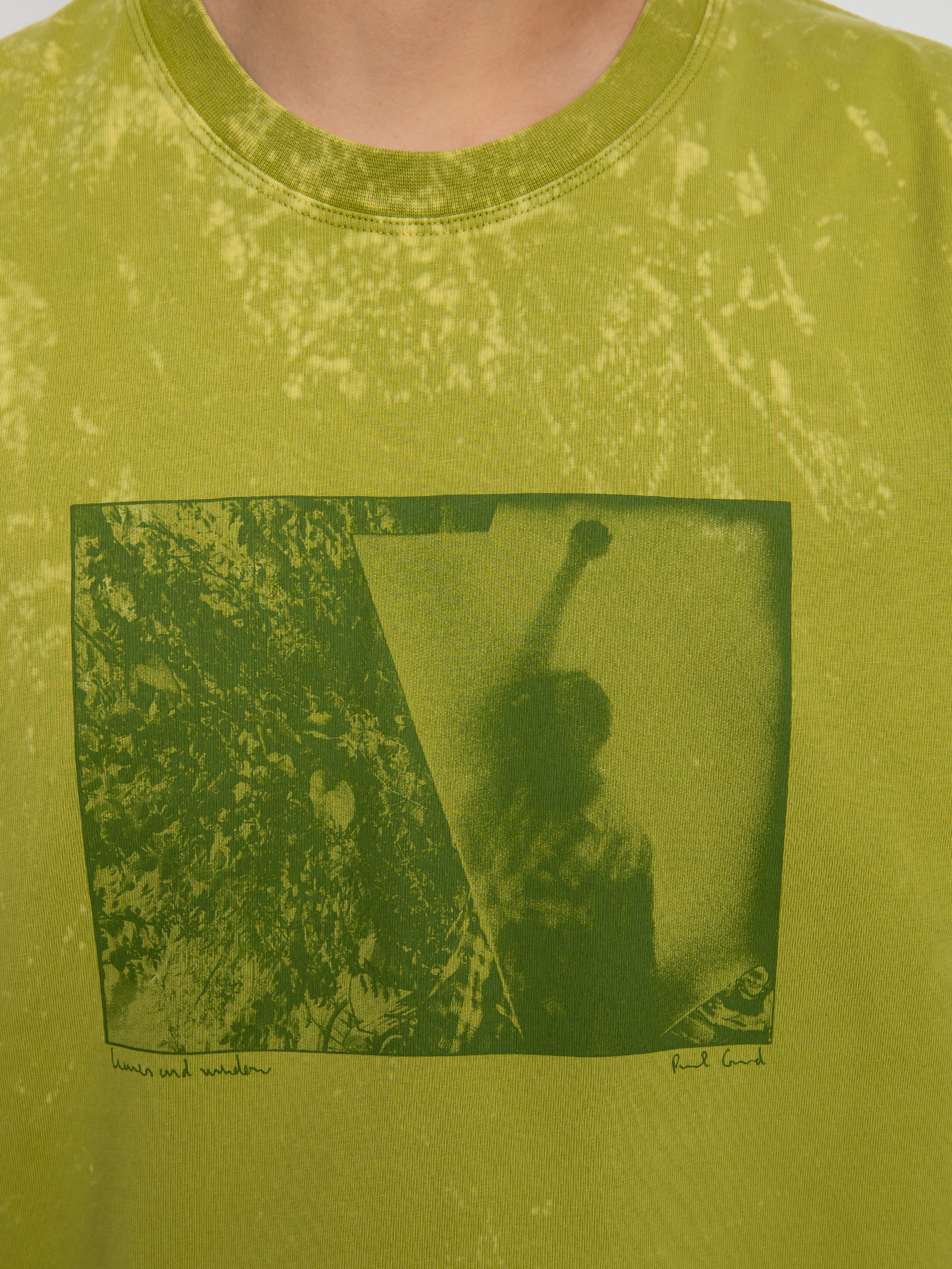 Longsleeve Polar Skate Leaves And Window (pea green)