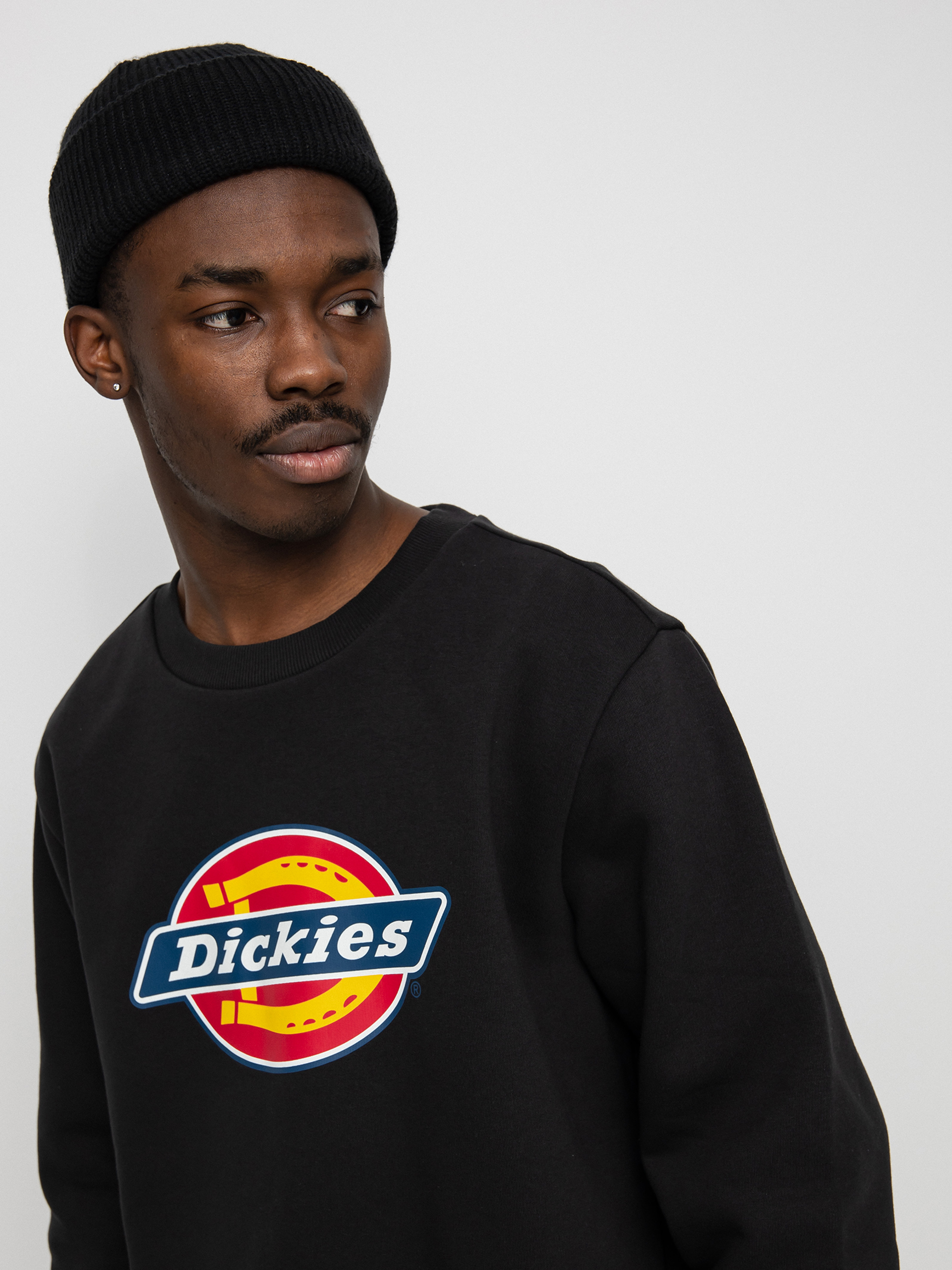 Bluza Dickies Icon Logo (black)