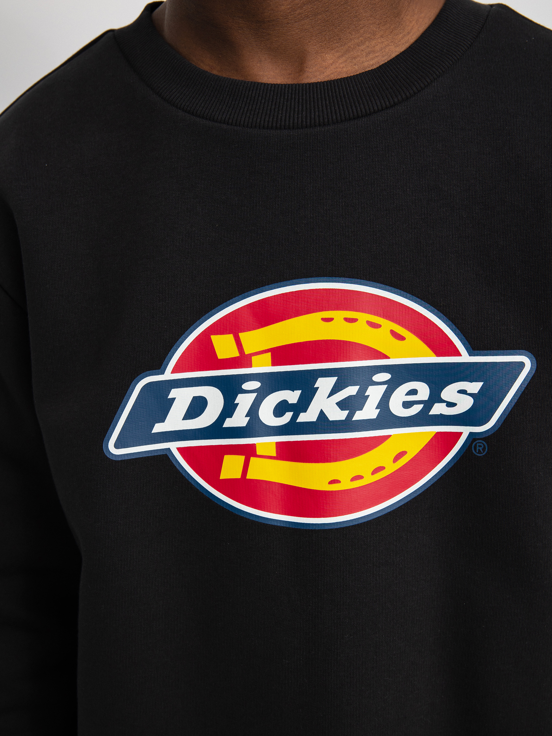 Bluza Dickies Icon Logo (black)