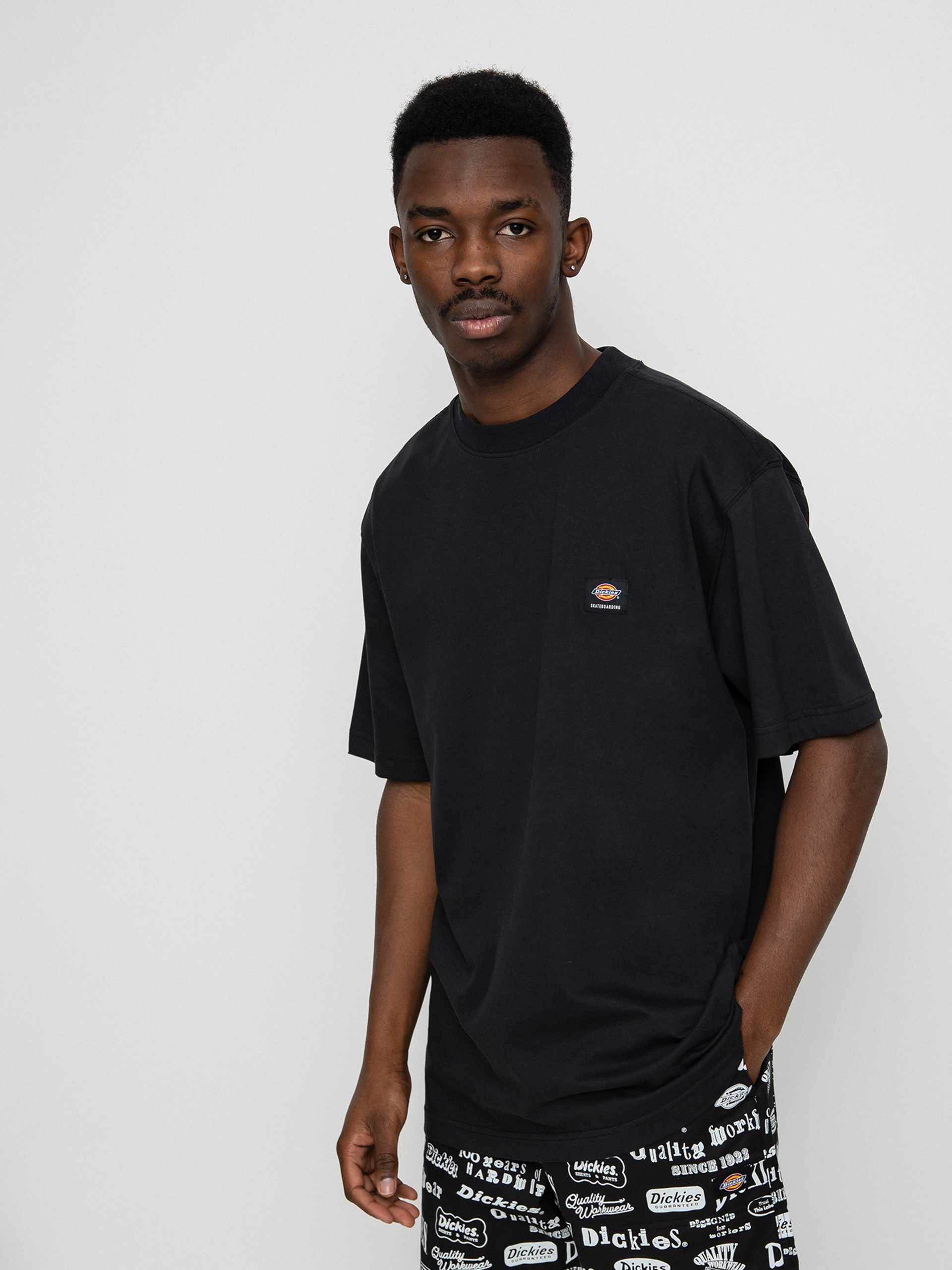 T-shirt Dickies Mount Vista (black)