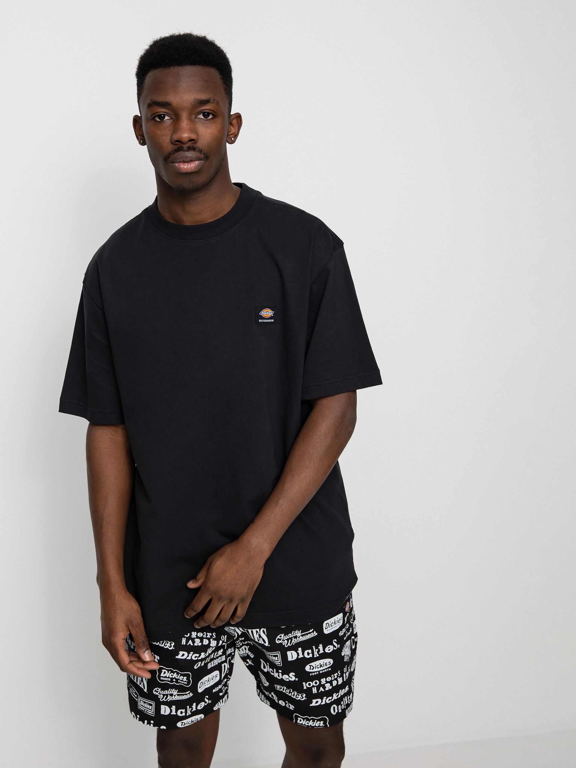 T-shirt Dickies Mount Vista (black)