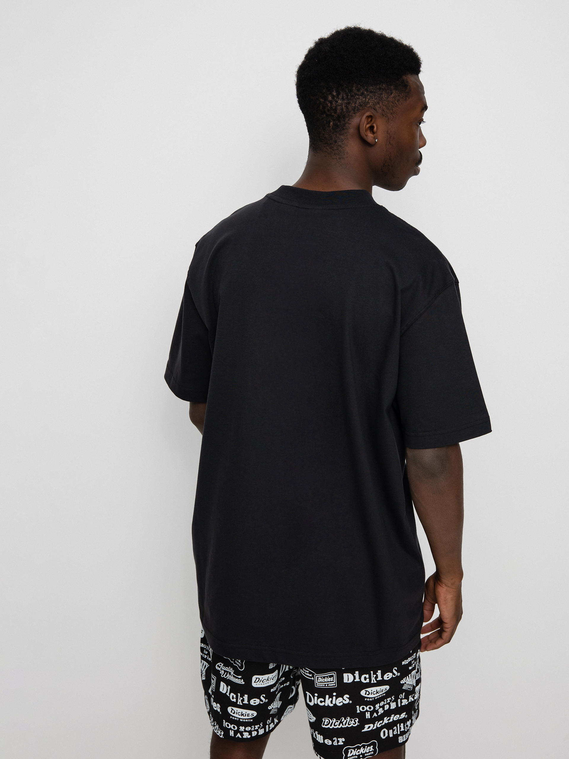 T-shirt Dickies Mount Vista (black)