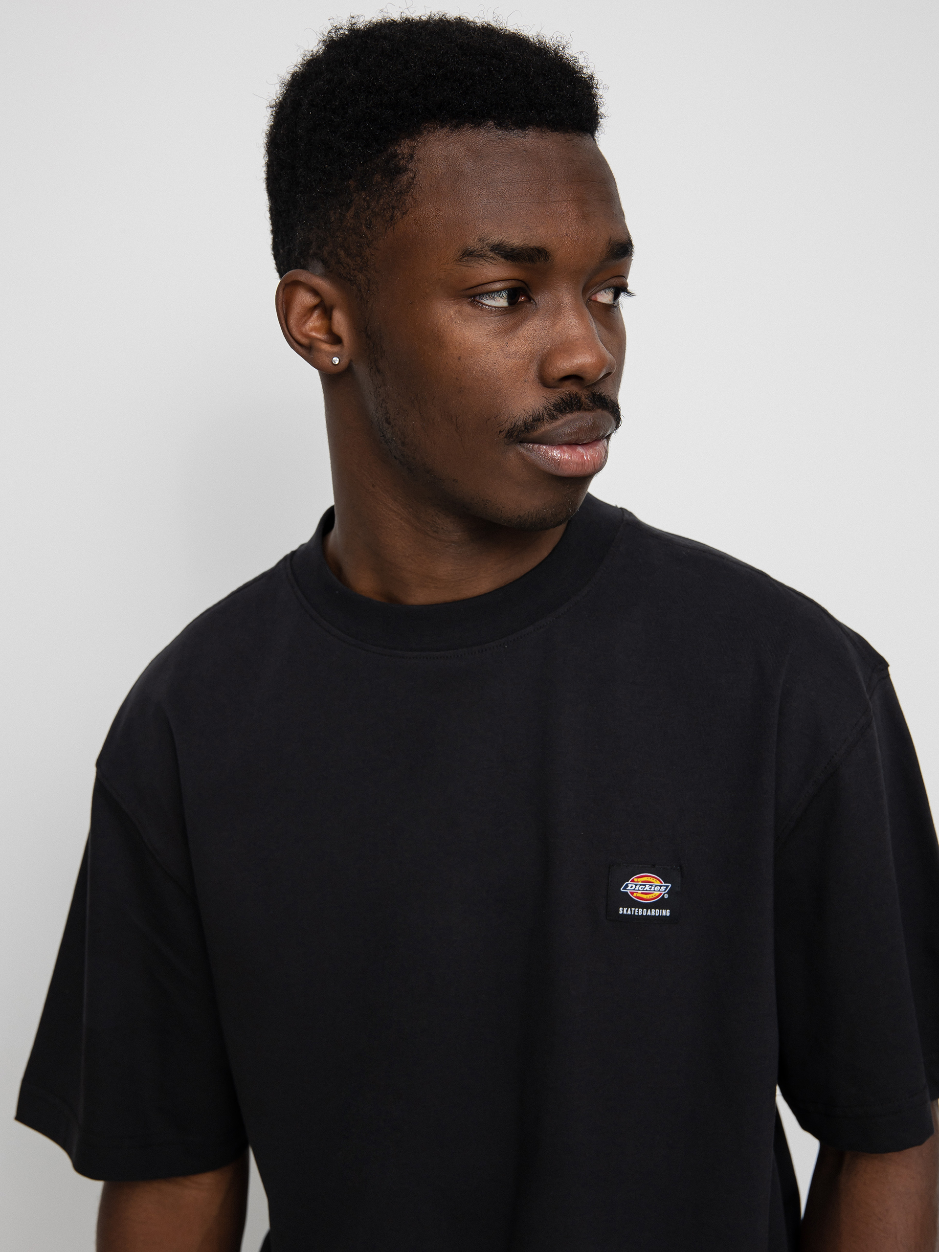 T-shirt Dickies Mount Vista (black)