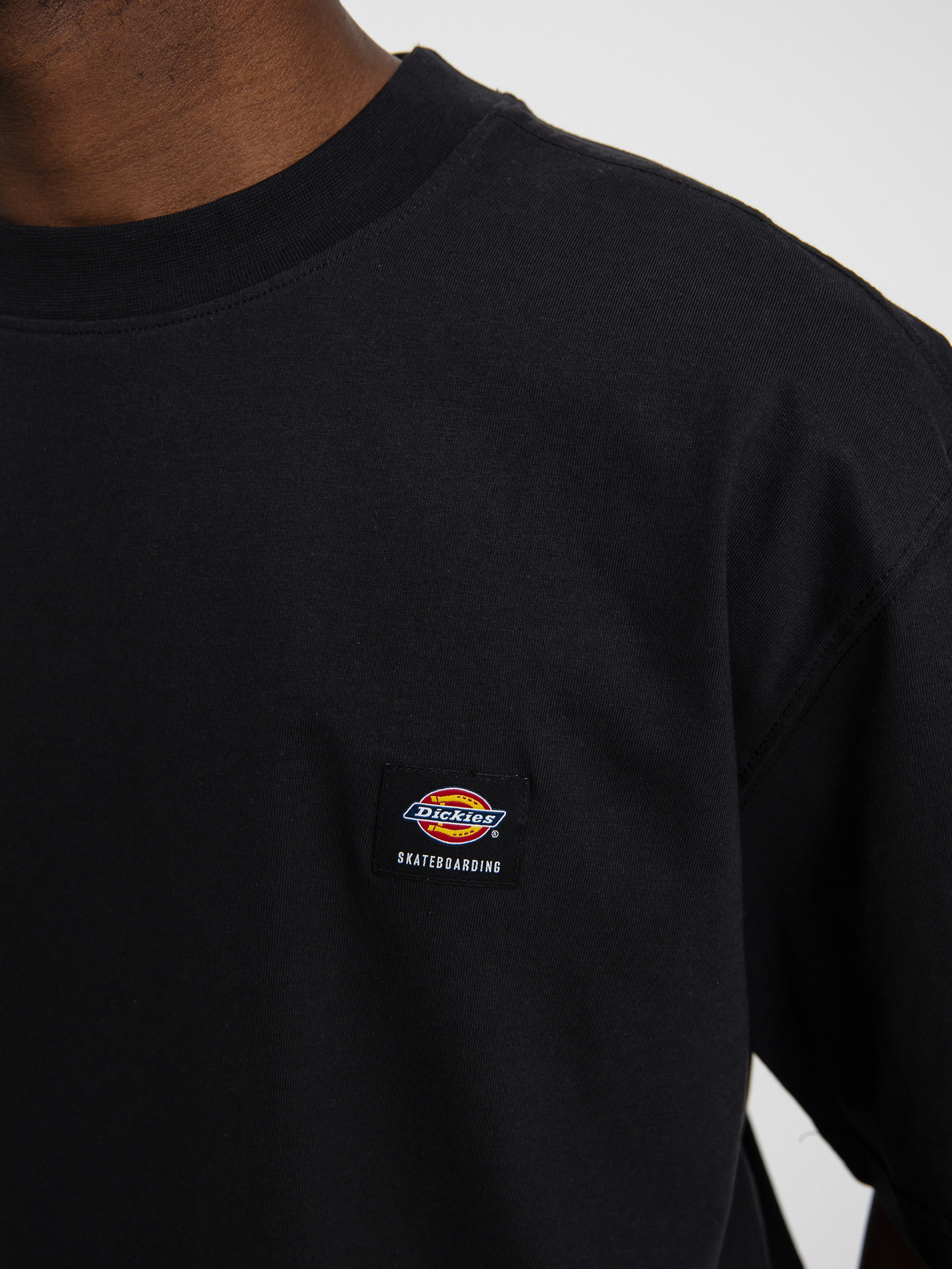 T-shirt Dickies Mount Vista (black)