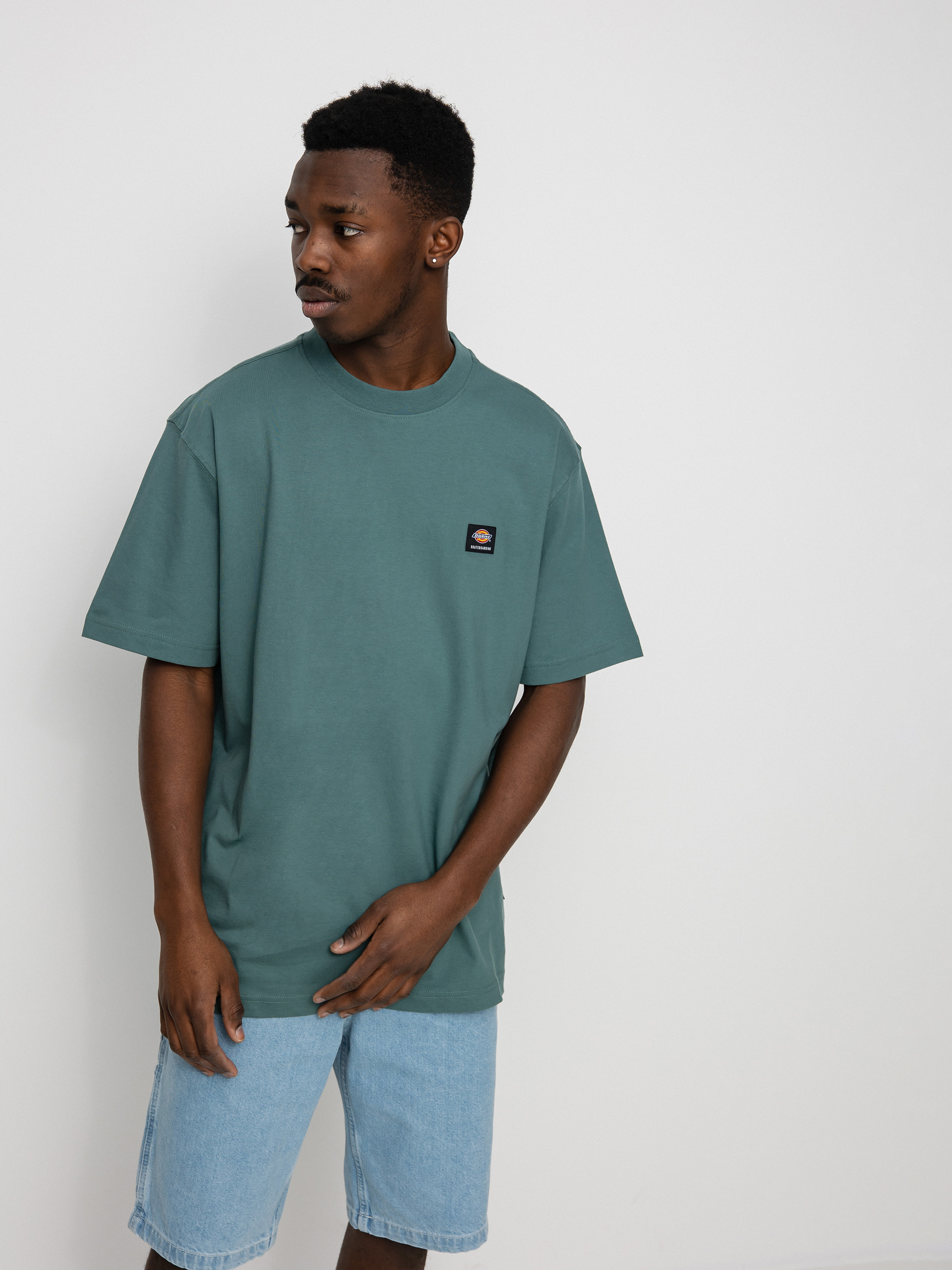 T-shirt Dickies Mount Vista (lincoln green)