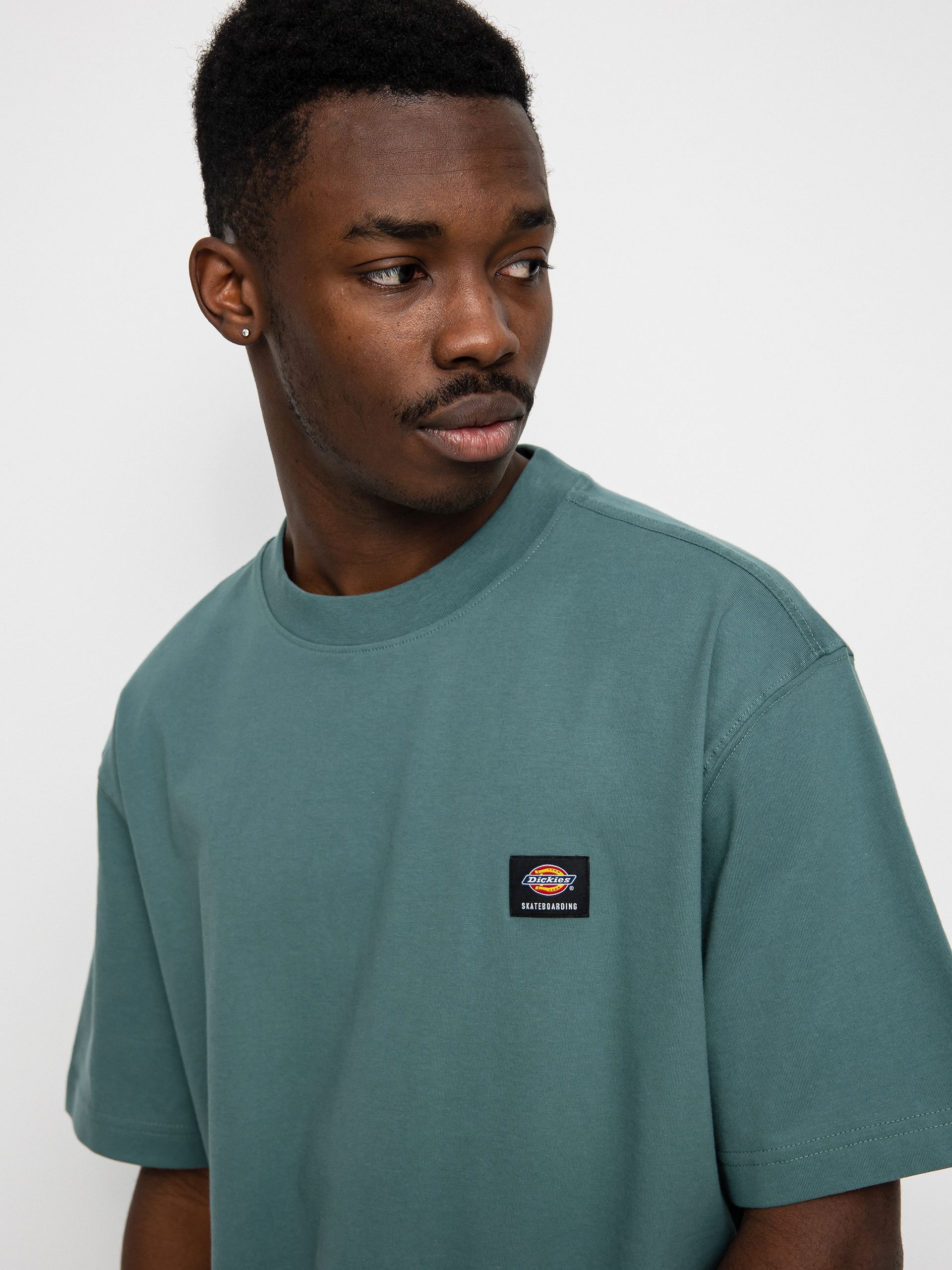 T-shirt Dickies Mount Vista (lincoln green)