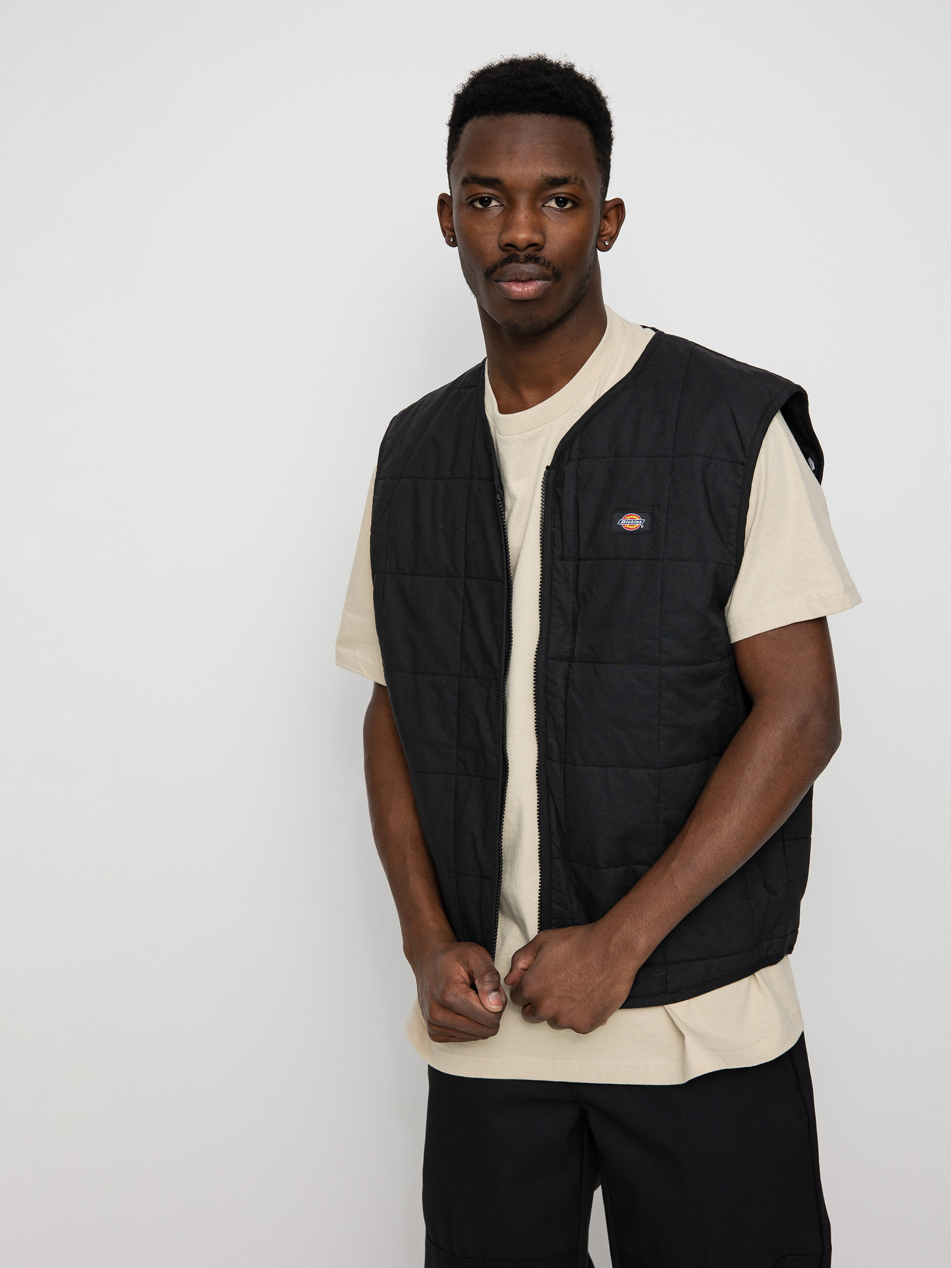 Kurtka Dickies Anniversary (assorted colour)