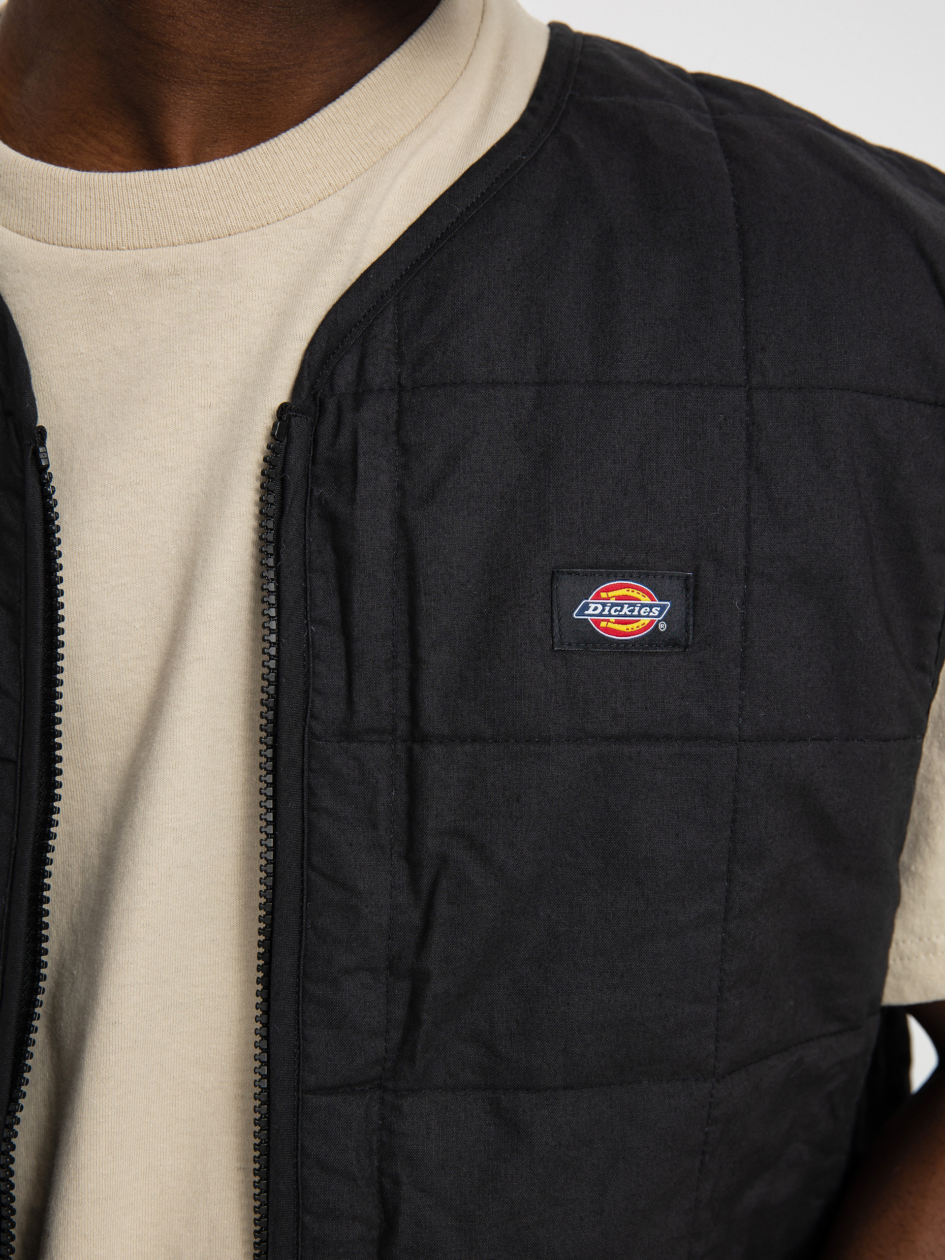 Kurtka Dickies Anniversary (assorted colour)