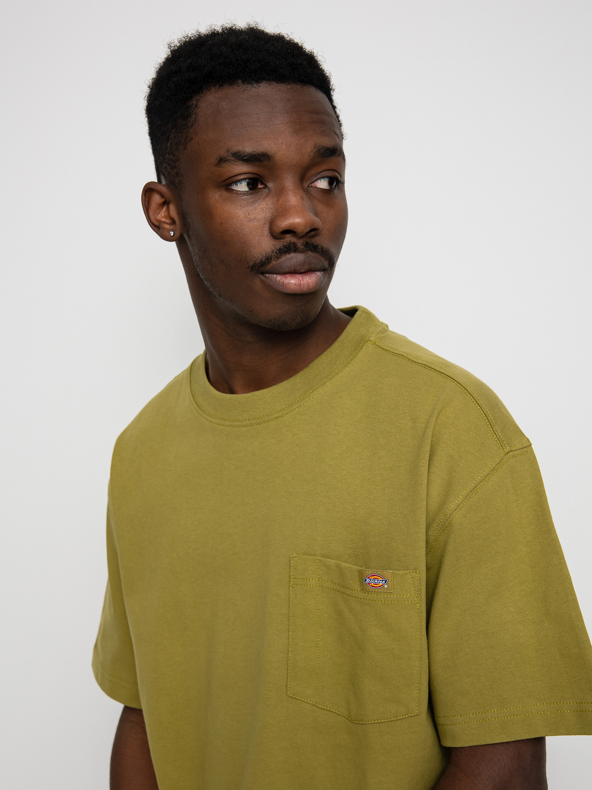 T-shirt Dickies Porterdale (green moss)