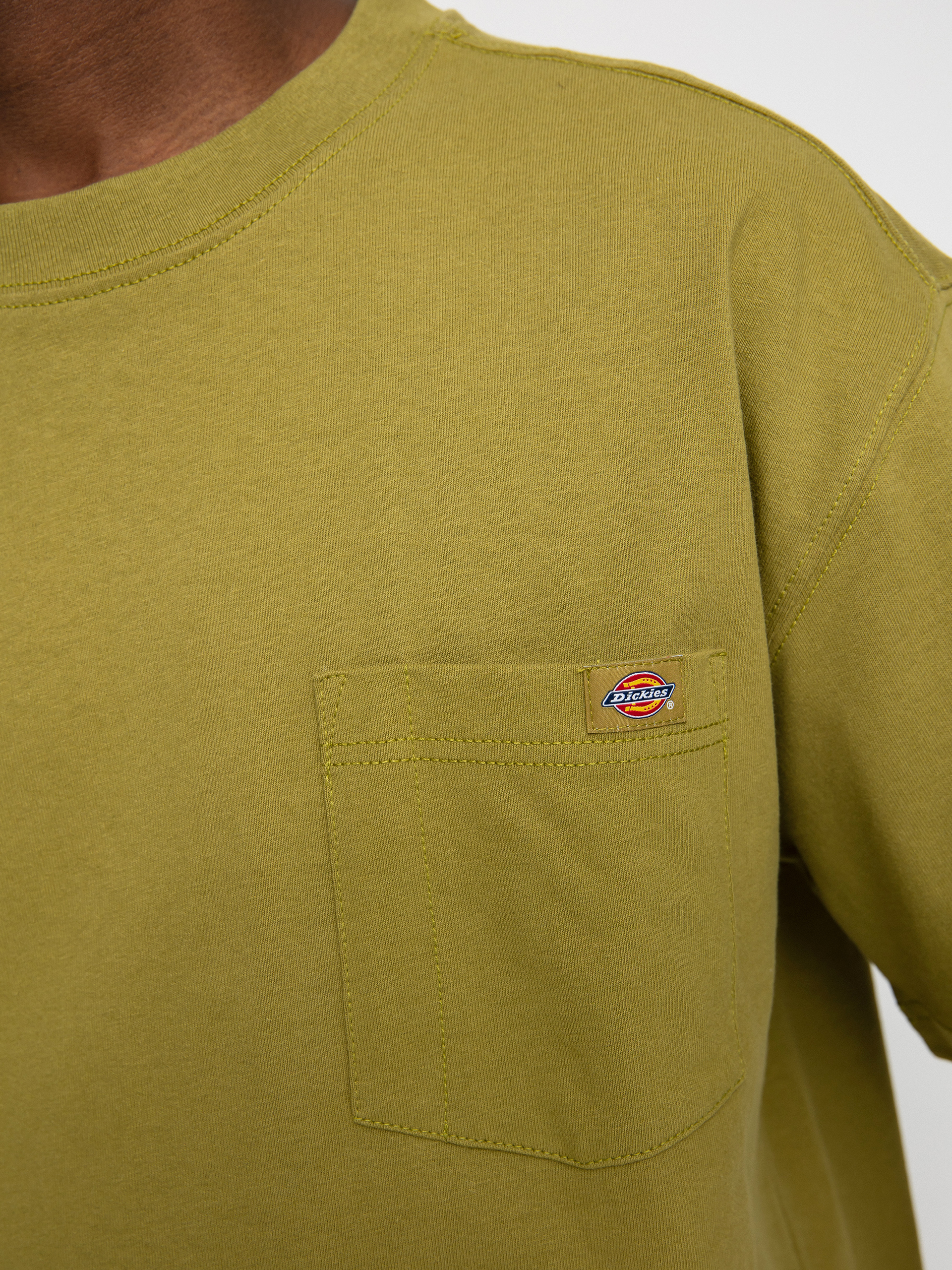 T-shirt Dickies Porterdale (green moss)