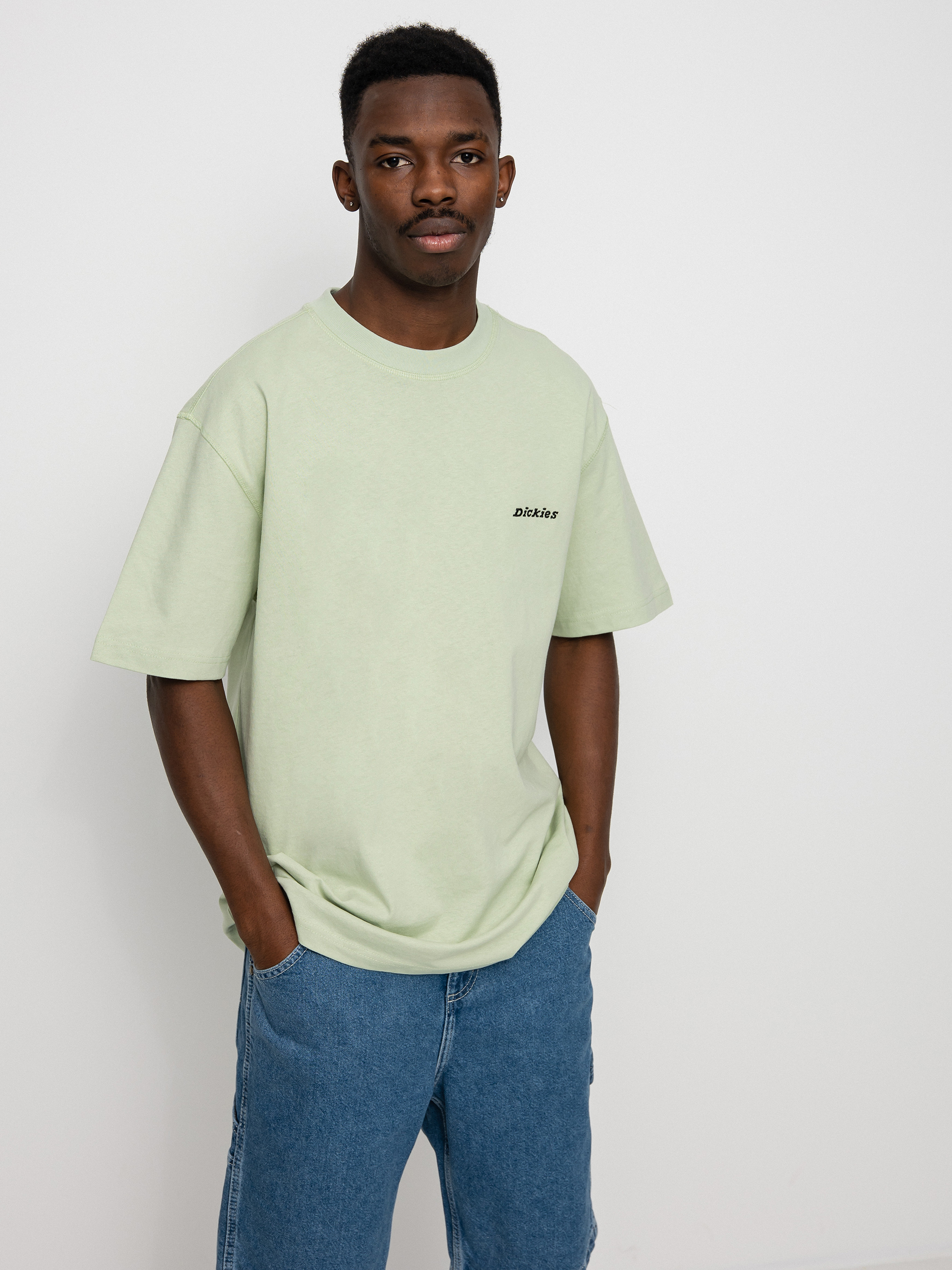 T-shirt Dickies Loretto (celadon green)