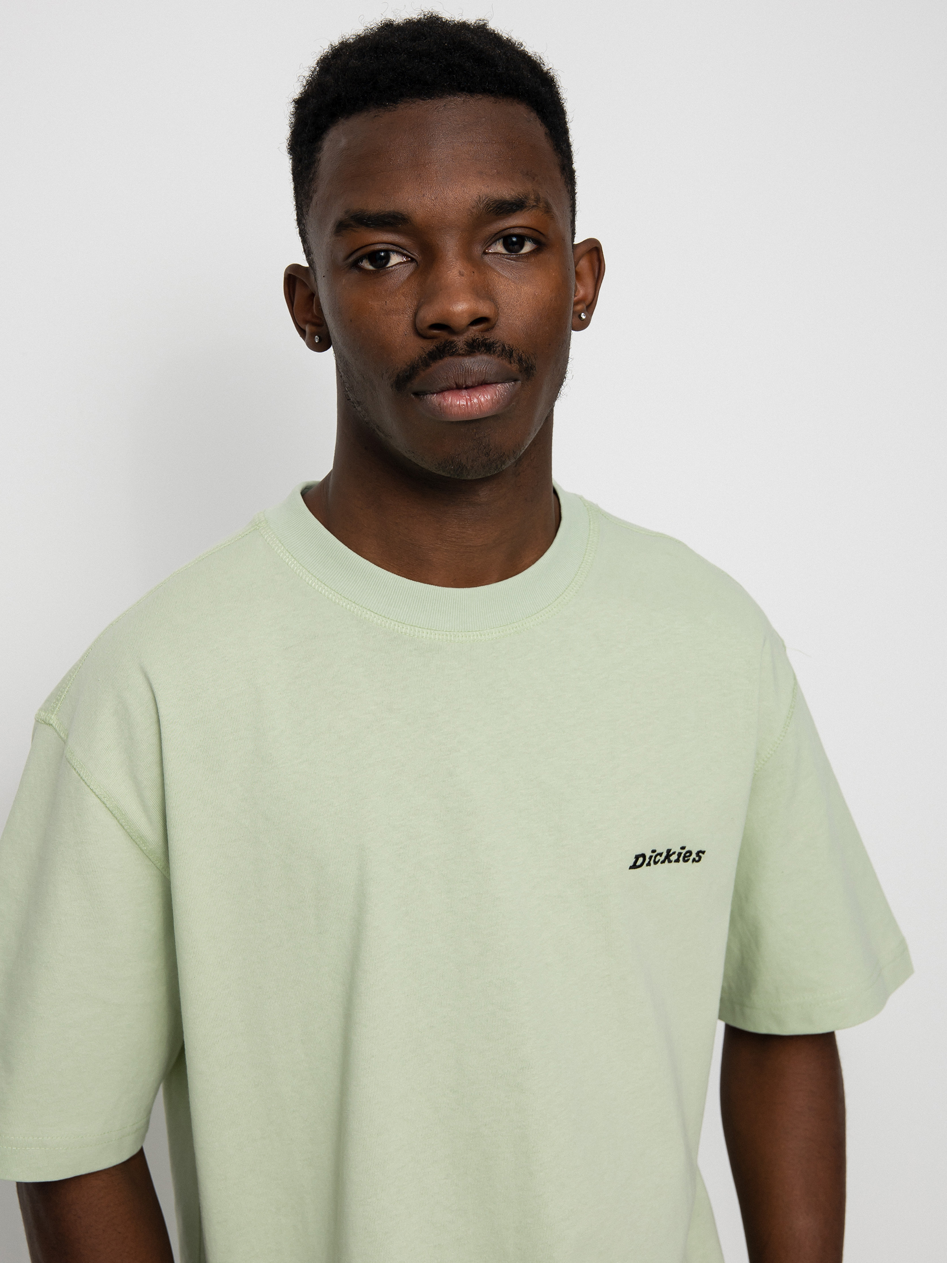 T-shirt Dickies Loretto (celadon green)