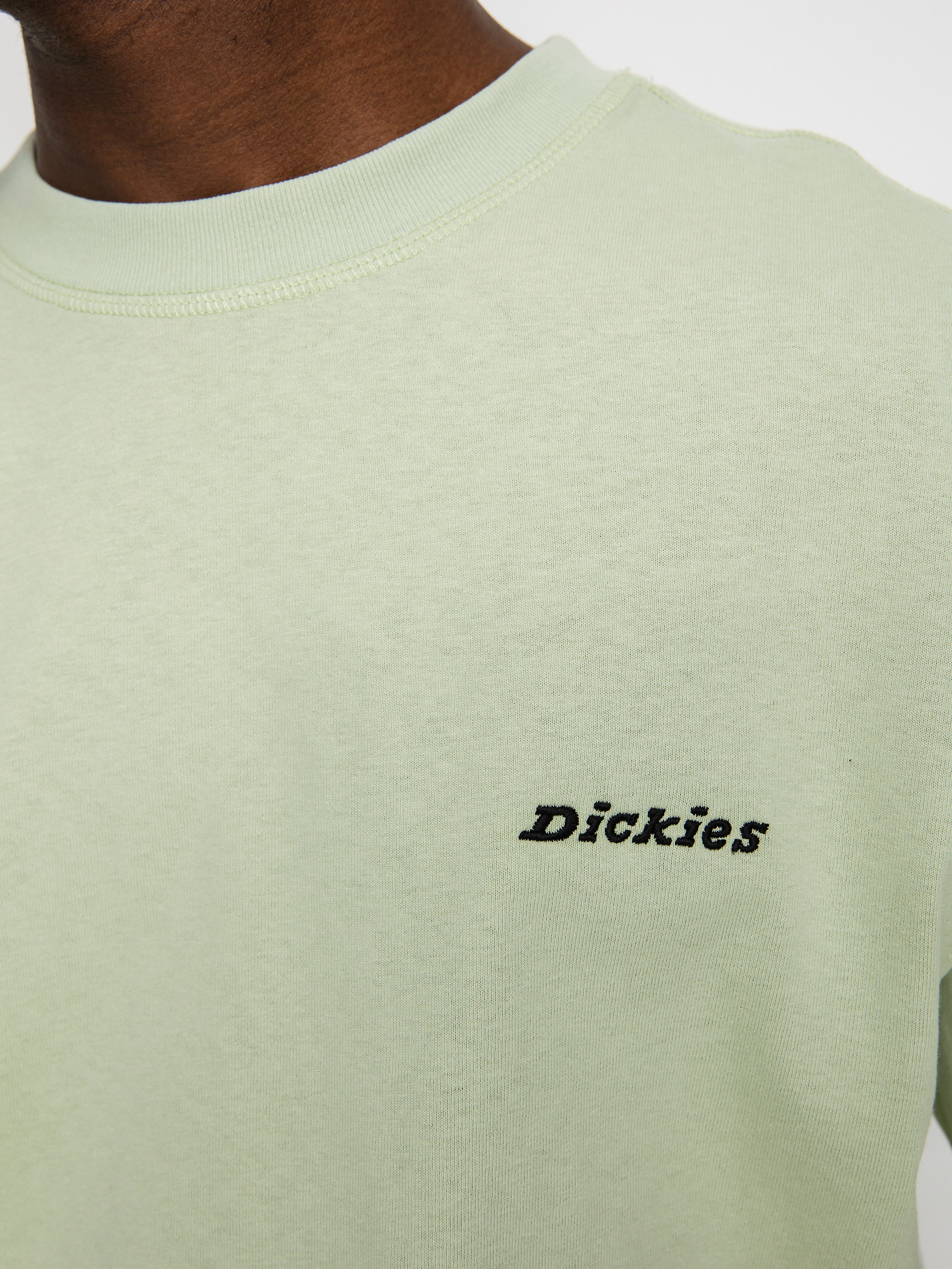 T-shirt Dickies Loretto (celadon green)