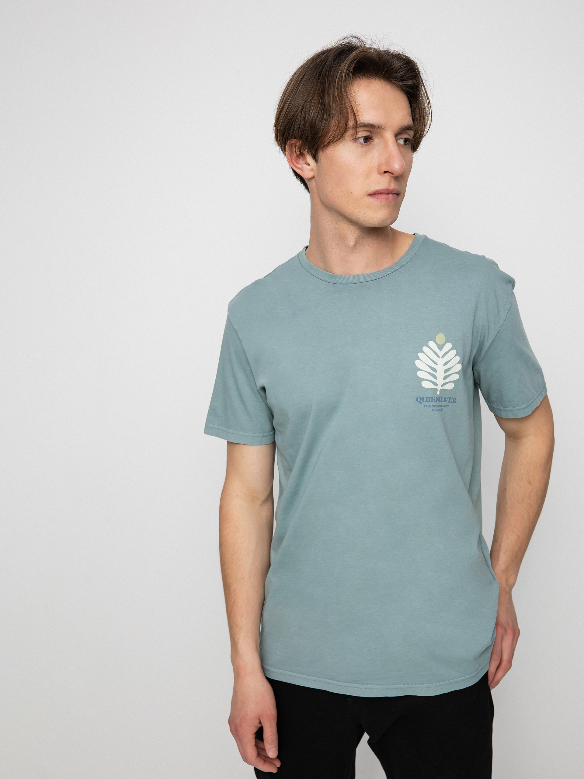 T-shirt Quiksilver Promote The Stoke (sea pine)