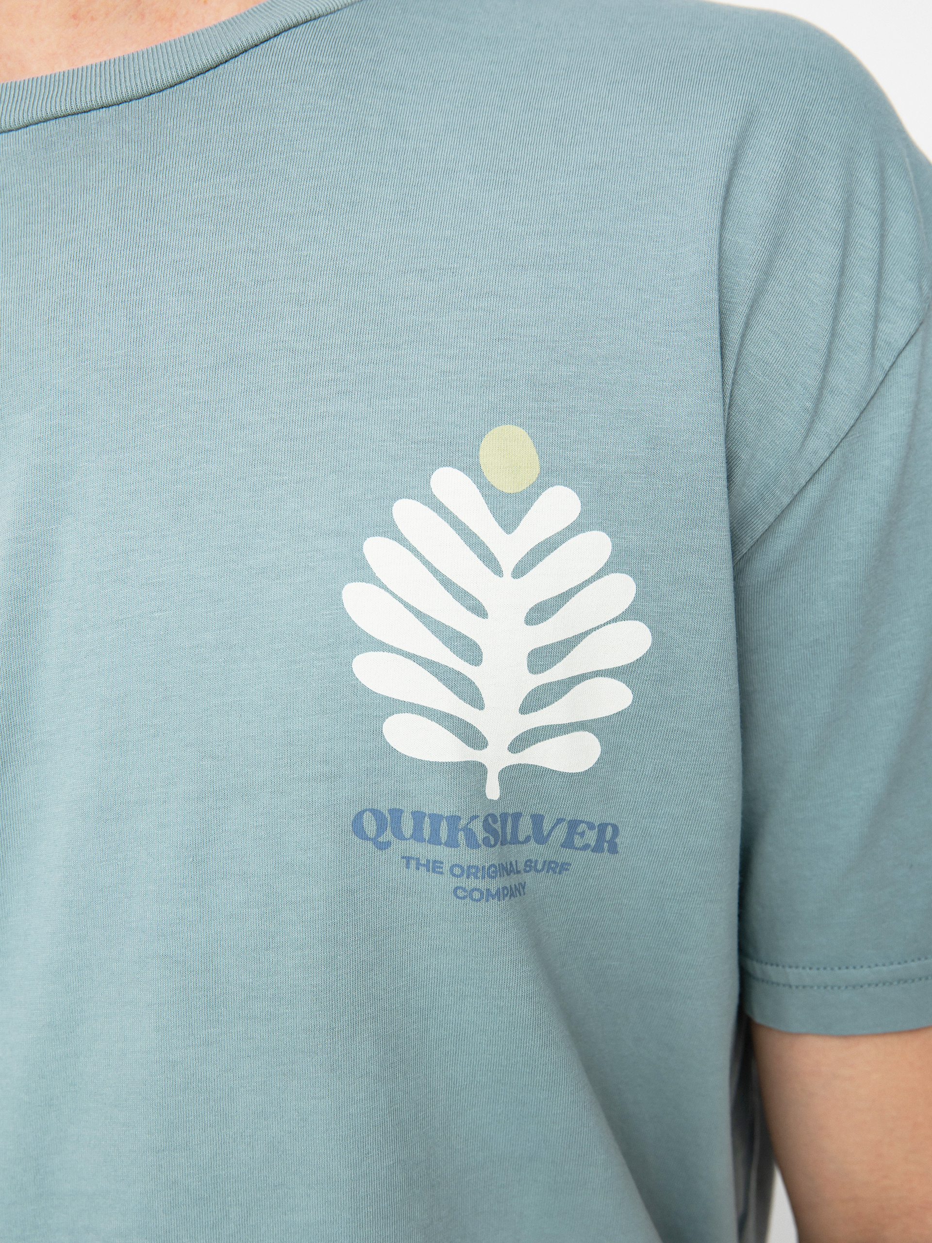 T-shirt Quiksilver Promote The Stoke (sea pine)