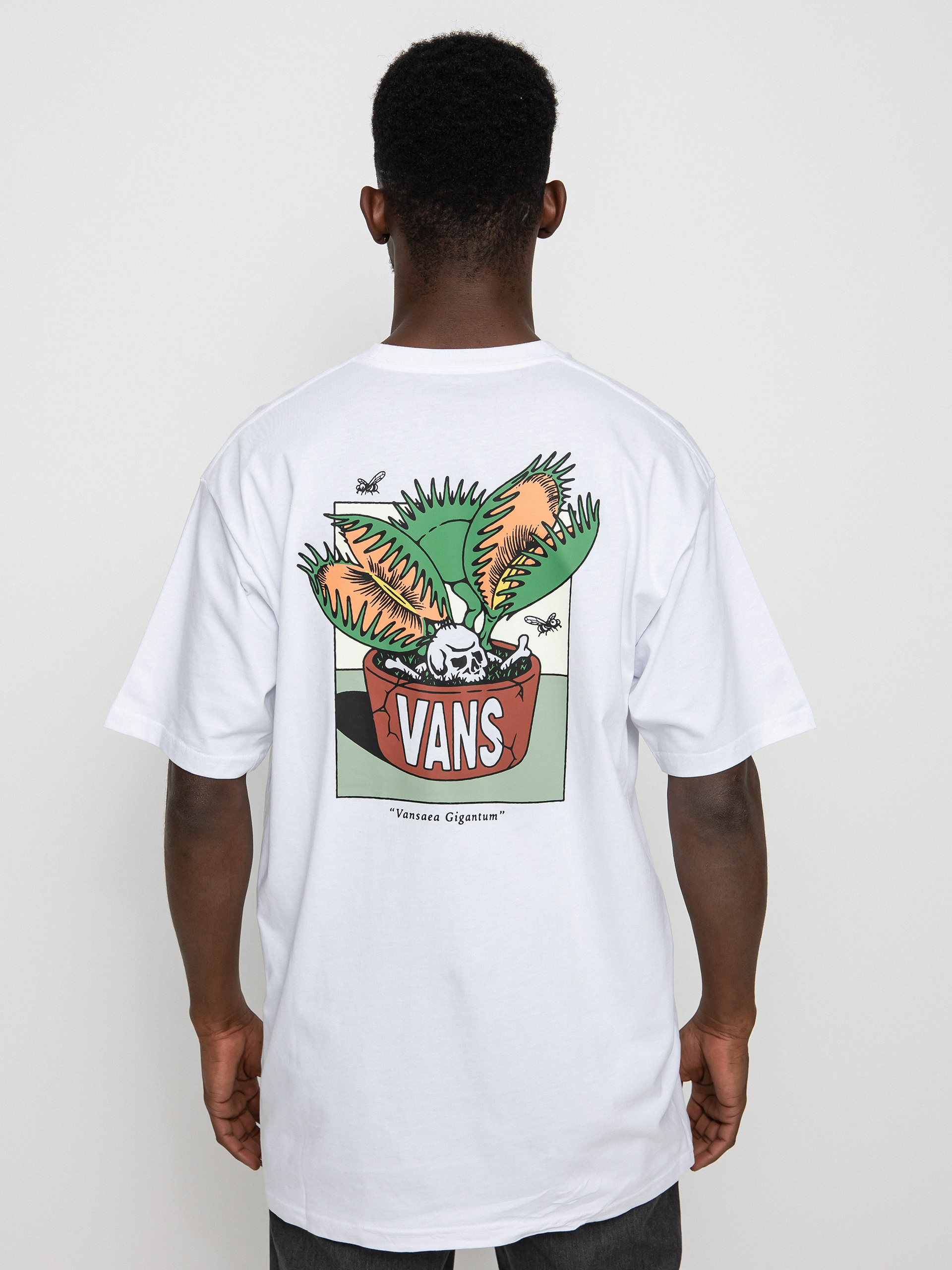 T-shirt Vans Vans Trap Planter II (white)