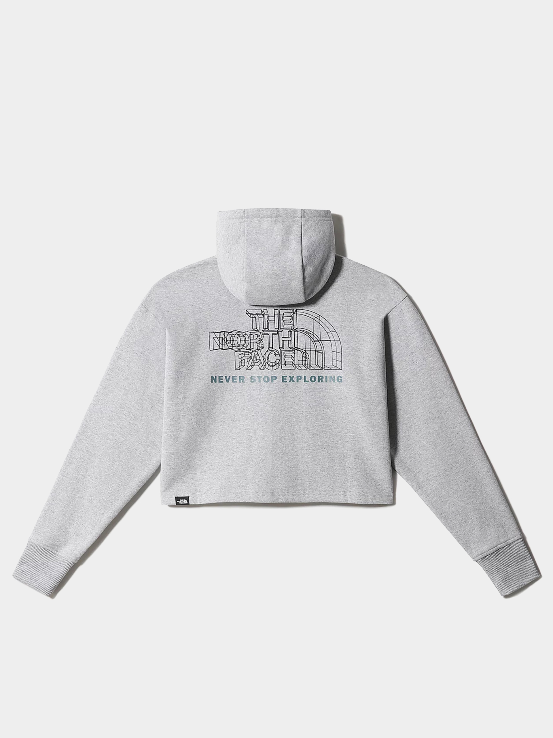 Bluza z kapturem The North Face Coordinates Crop HD Wmn (tnf light grey heather)