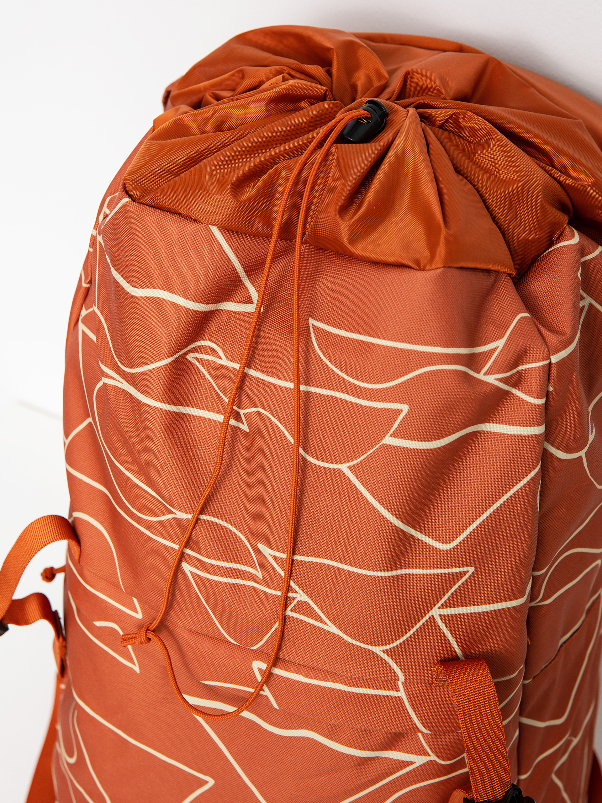 Plecak Patagonia Arbor Lid Pack (bartolome big sandhill rust)
