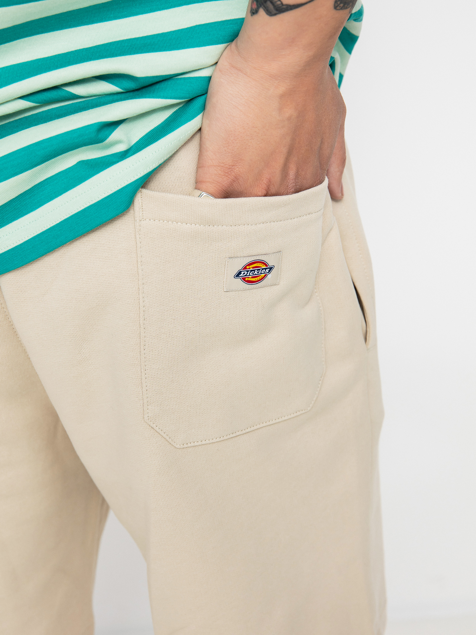 Szorty Dickies Champlin (cement)