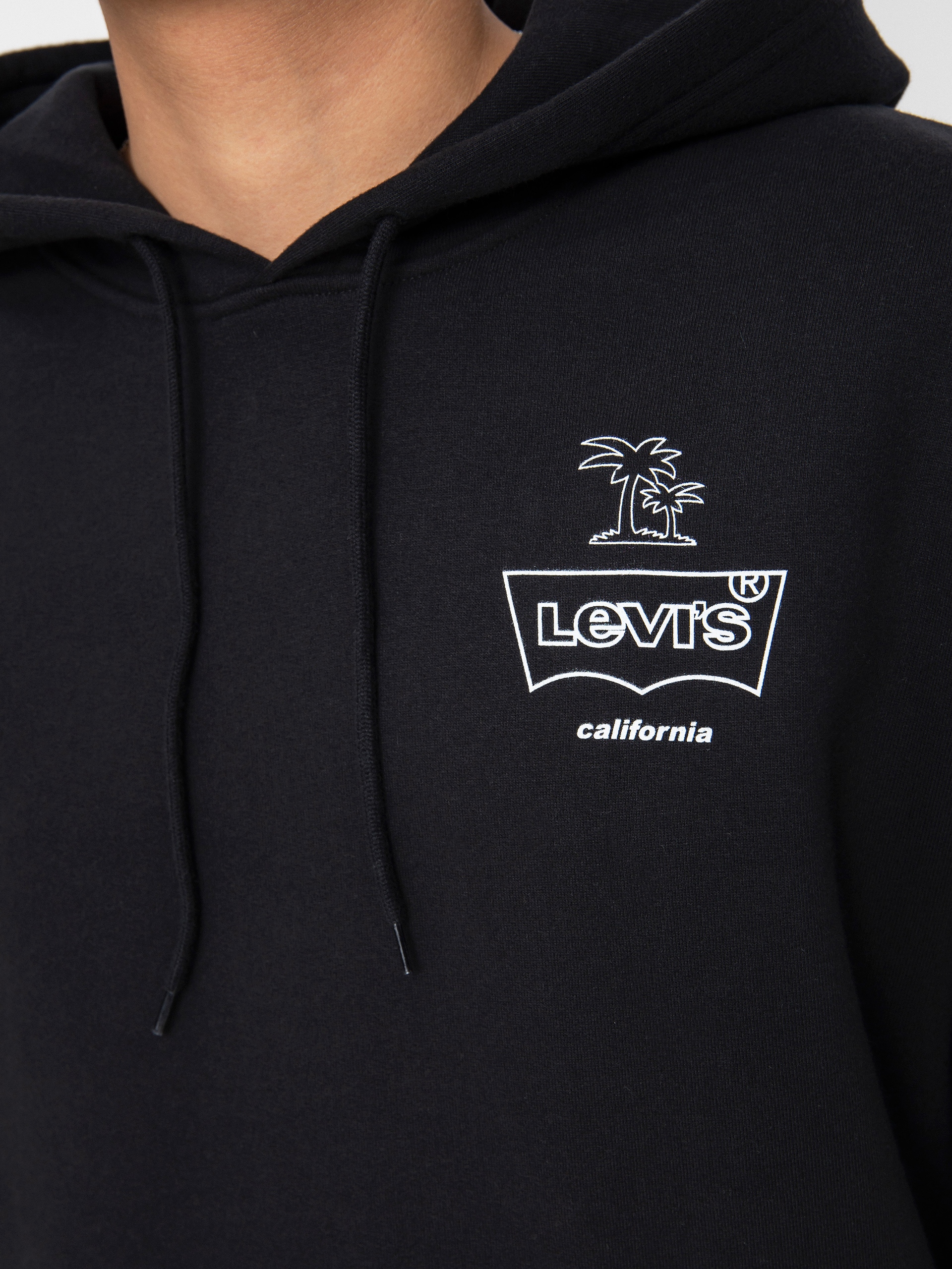 Bluza z kapturem Levi's® Palm HD (caviar)