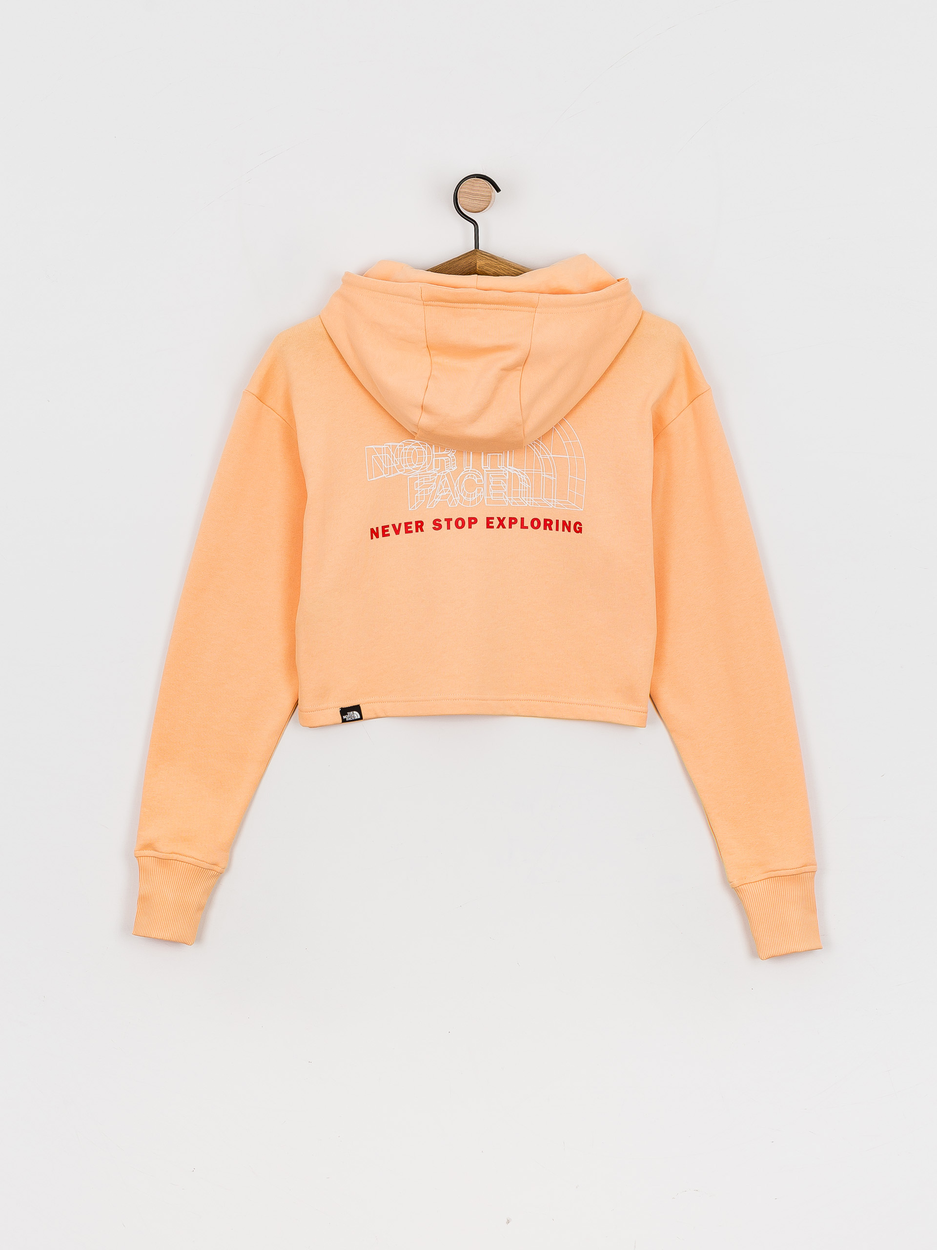 Bluza z kapturem The North Face Coordinates Crop HD Wmn (apricot ice)