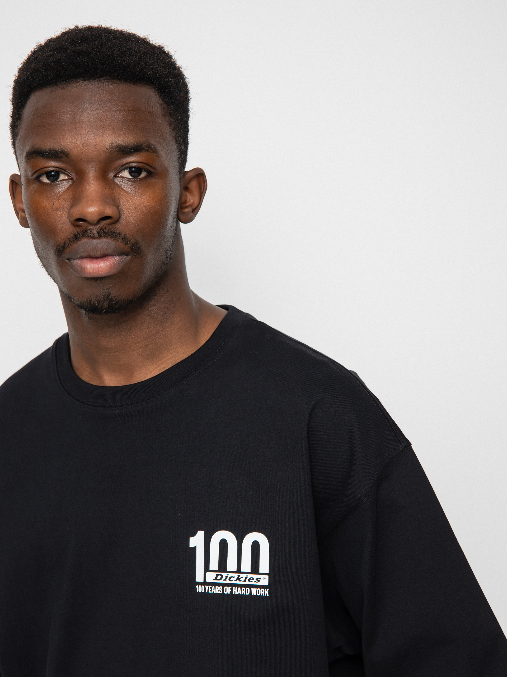T-shirt Dickies 100 Logo (black)