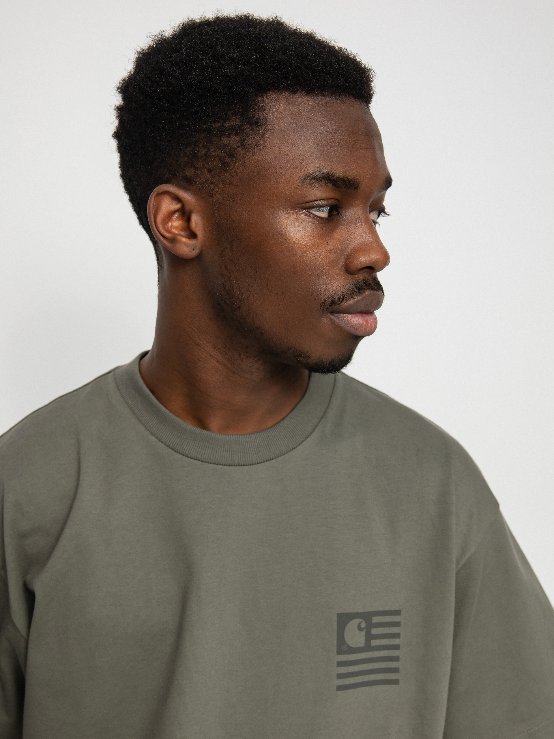 T-shirt Carhartt WIP Medley State (thyme)
