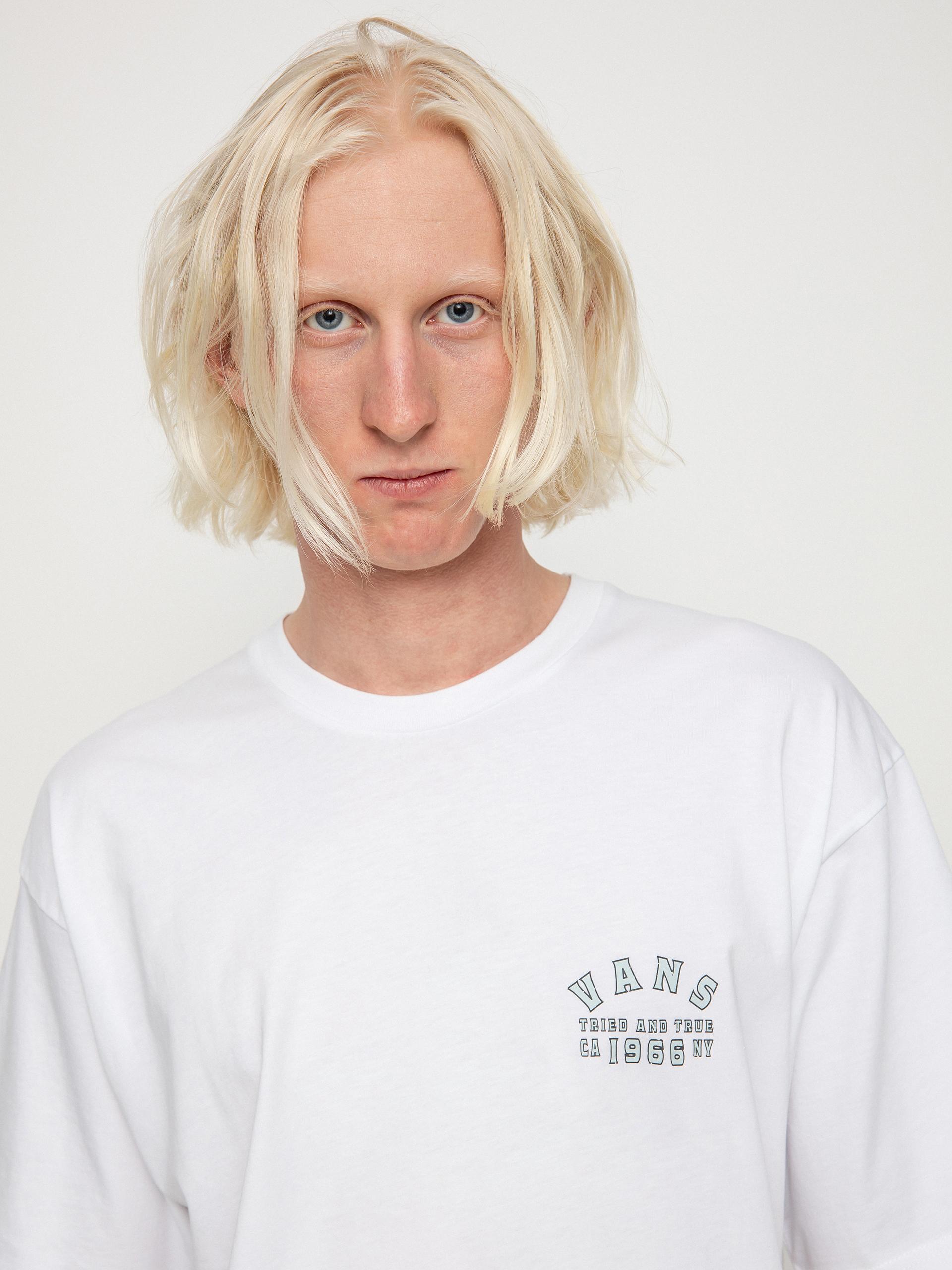 T-shirt Vans Striked (white)