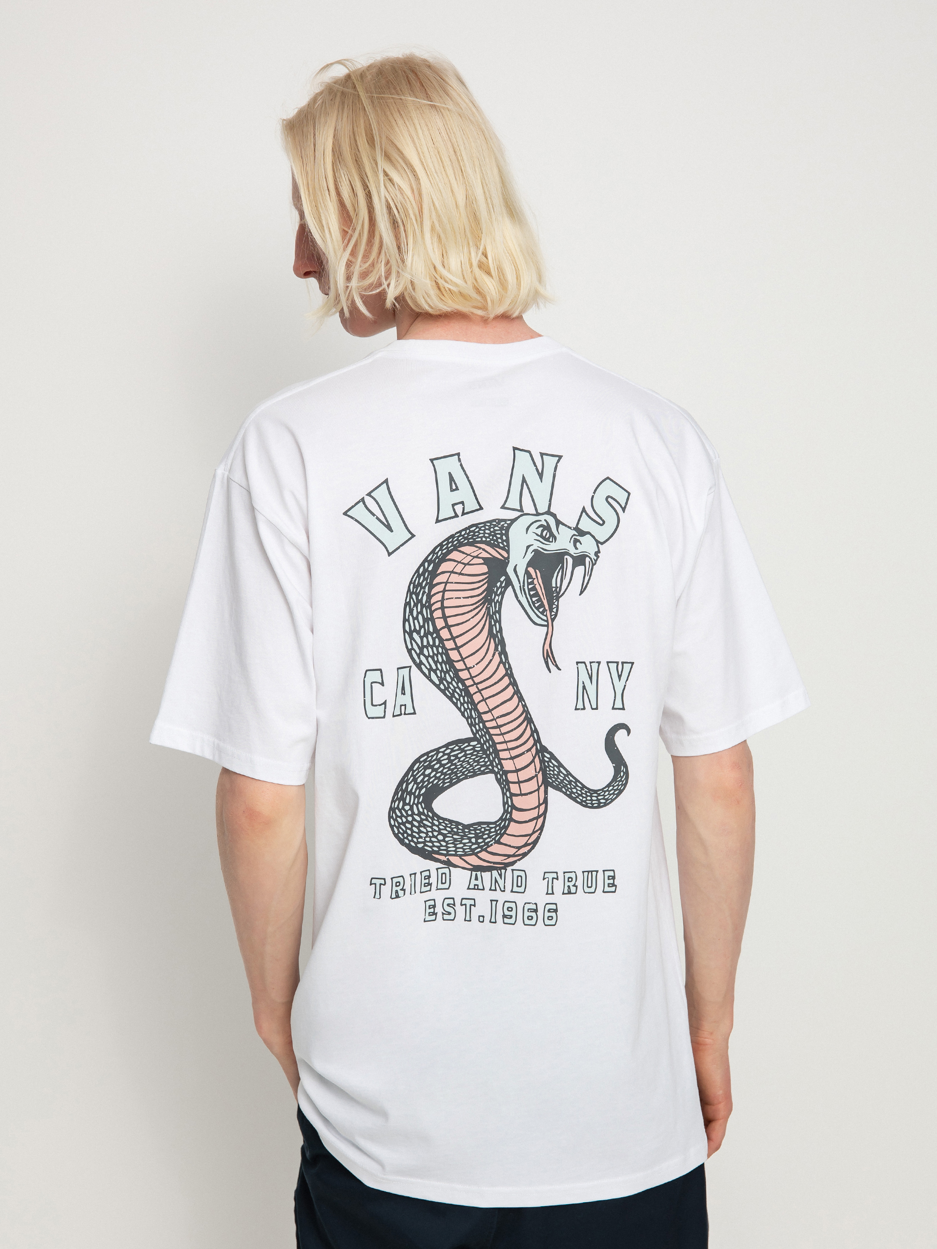 T-shirt Vans Striked (white)