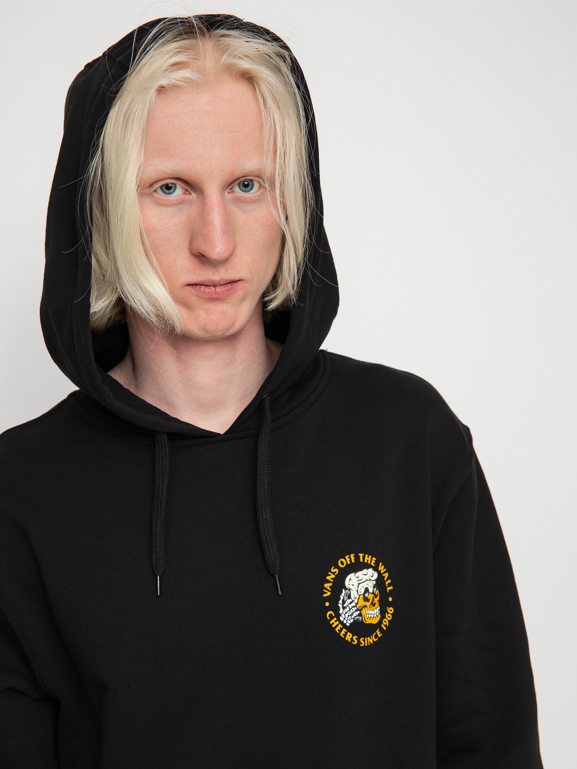 Bluza Vans Beer Skull (black)